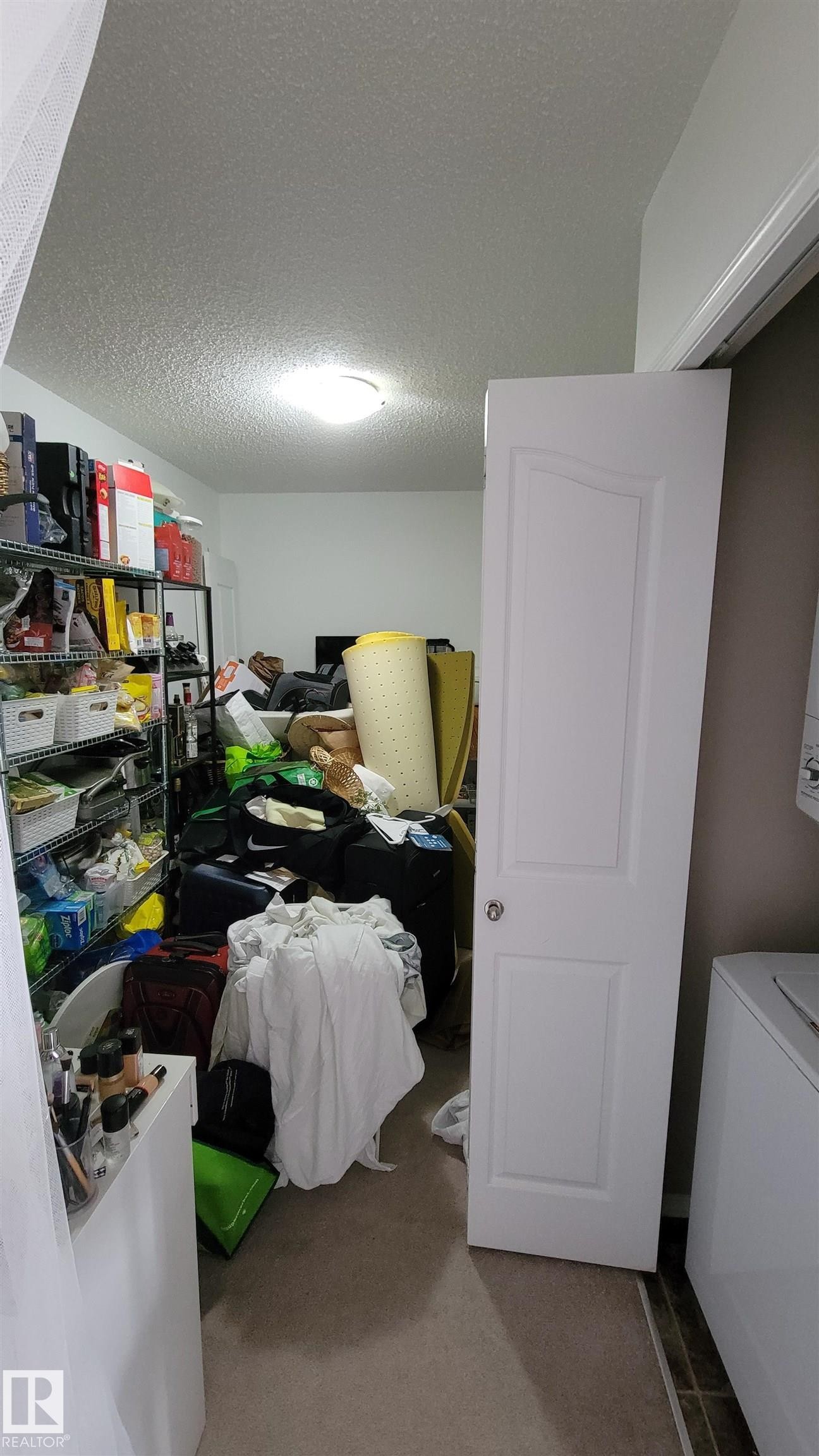 Image quality insufficient for description - #415 12045 22 Av Sw, Edmonton, AB - Indoor Photo Showing Laundry Room