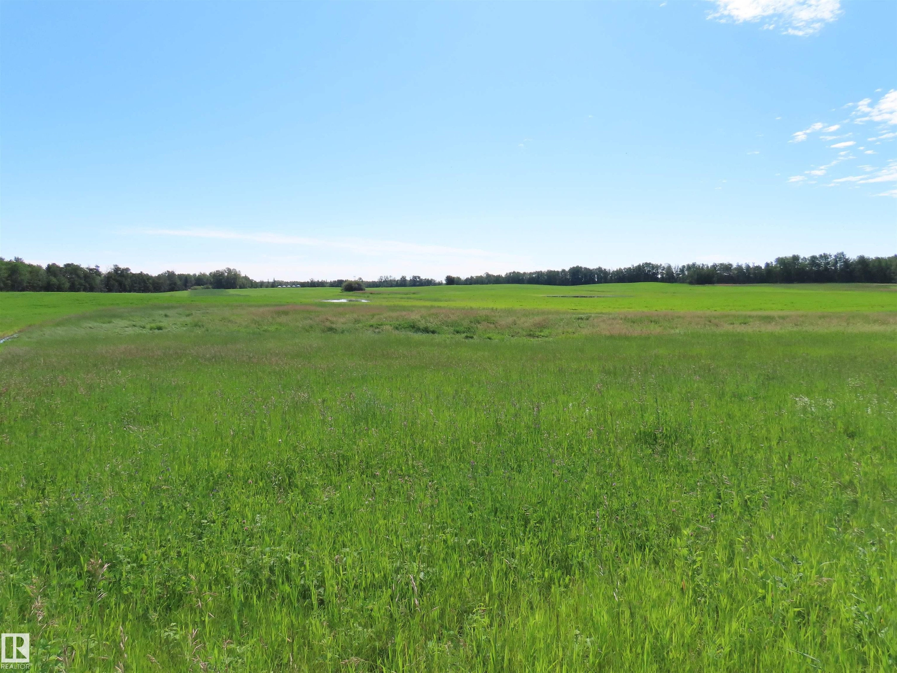Expansive green field with natural vegetation and distant tree lines under a clear sky - Twp 560, Rural Lac Ste. Anne County, AB