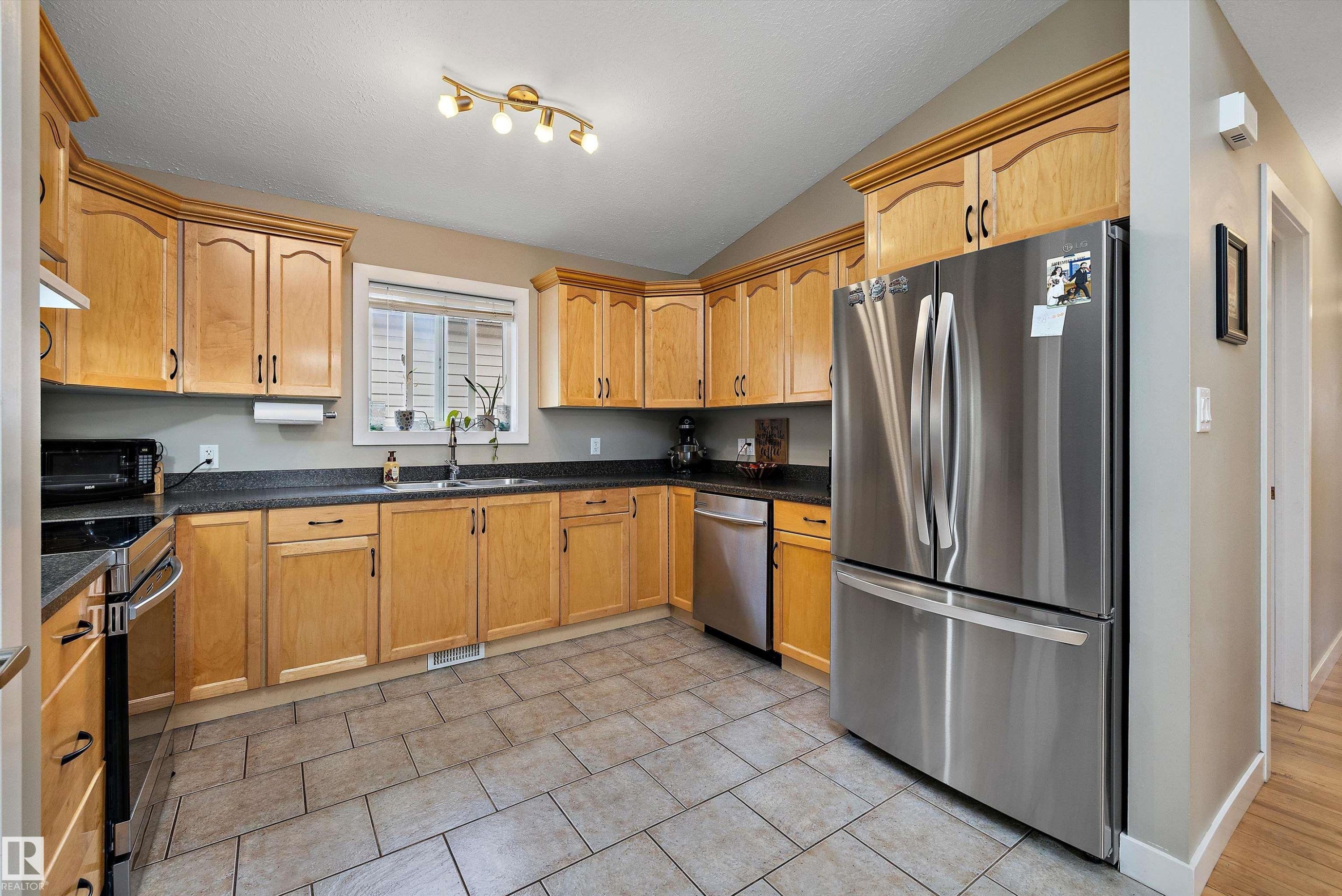 11432 87 Street Nw, Edmonton, AB - Indoor Photo Showing Kitchen With Double Sink