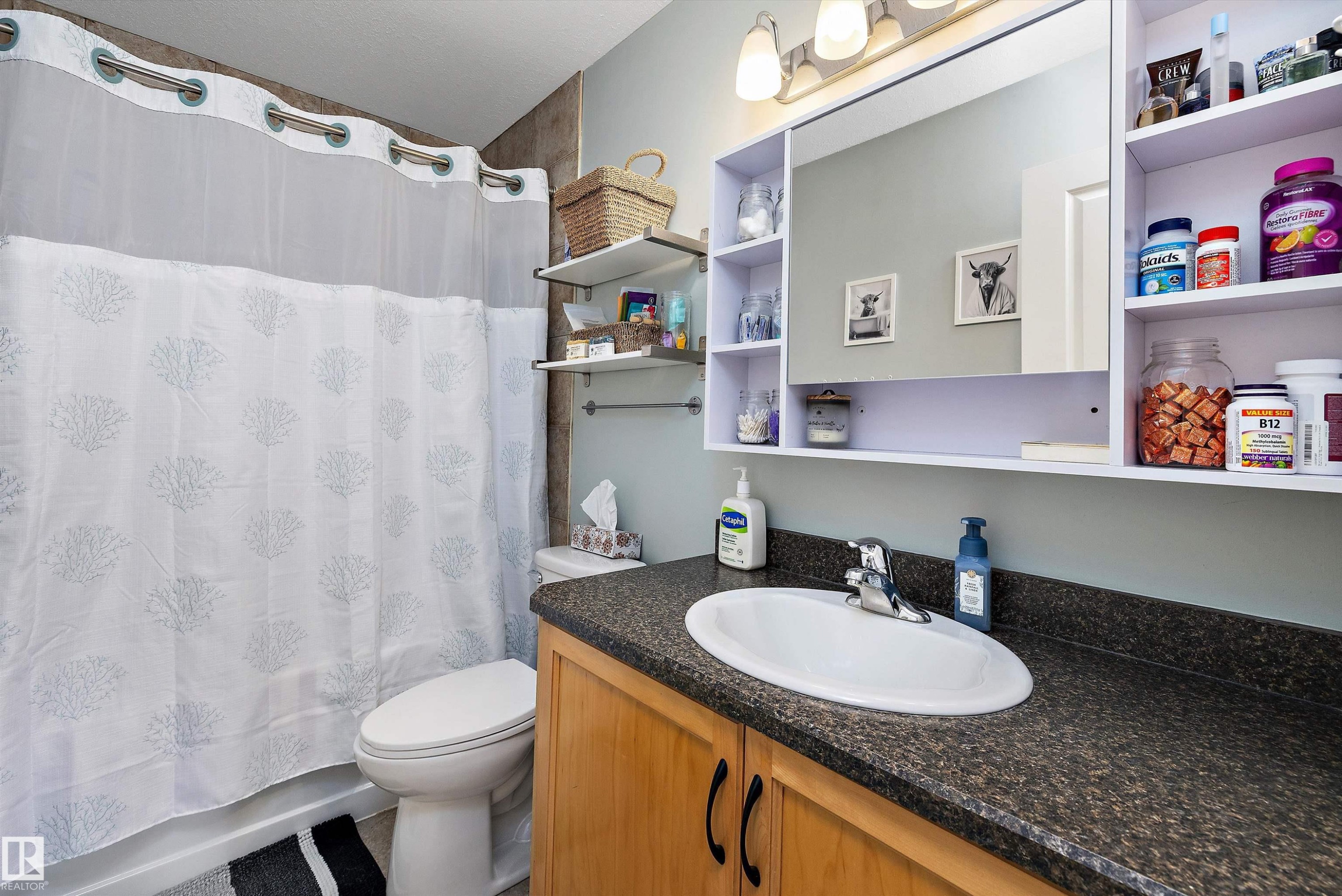 11432 87 Street Nw, Edmonton, AB - Indoor Photo Showing Bathroom