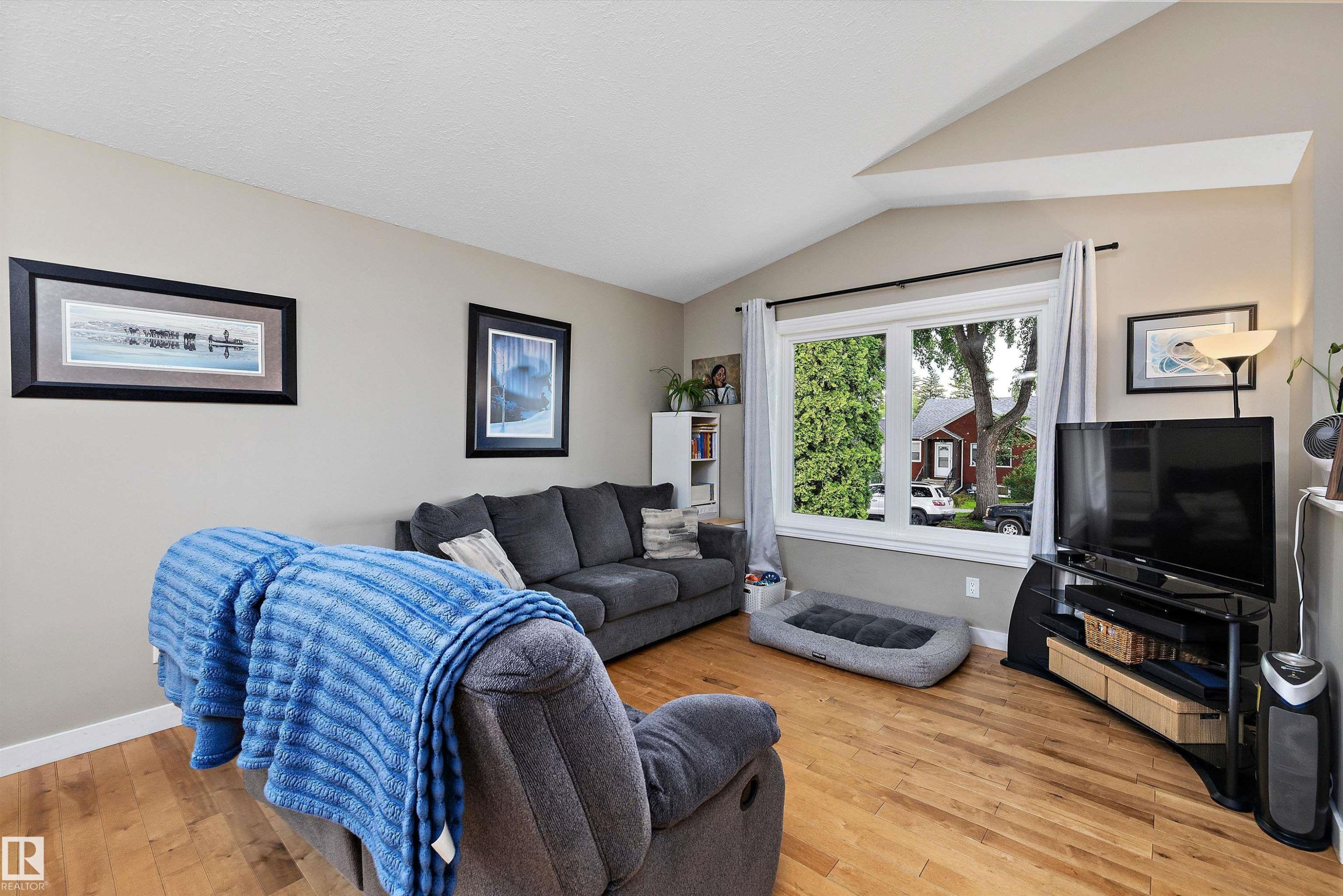 11432 87 Street Nw, Edmonton, AB - Indoor Photo Showing Living Room