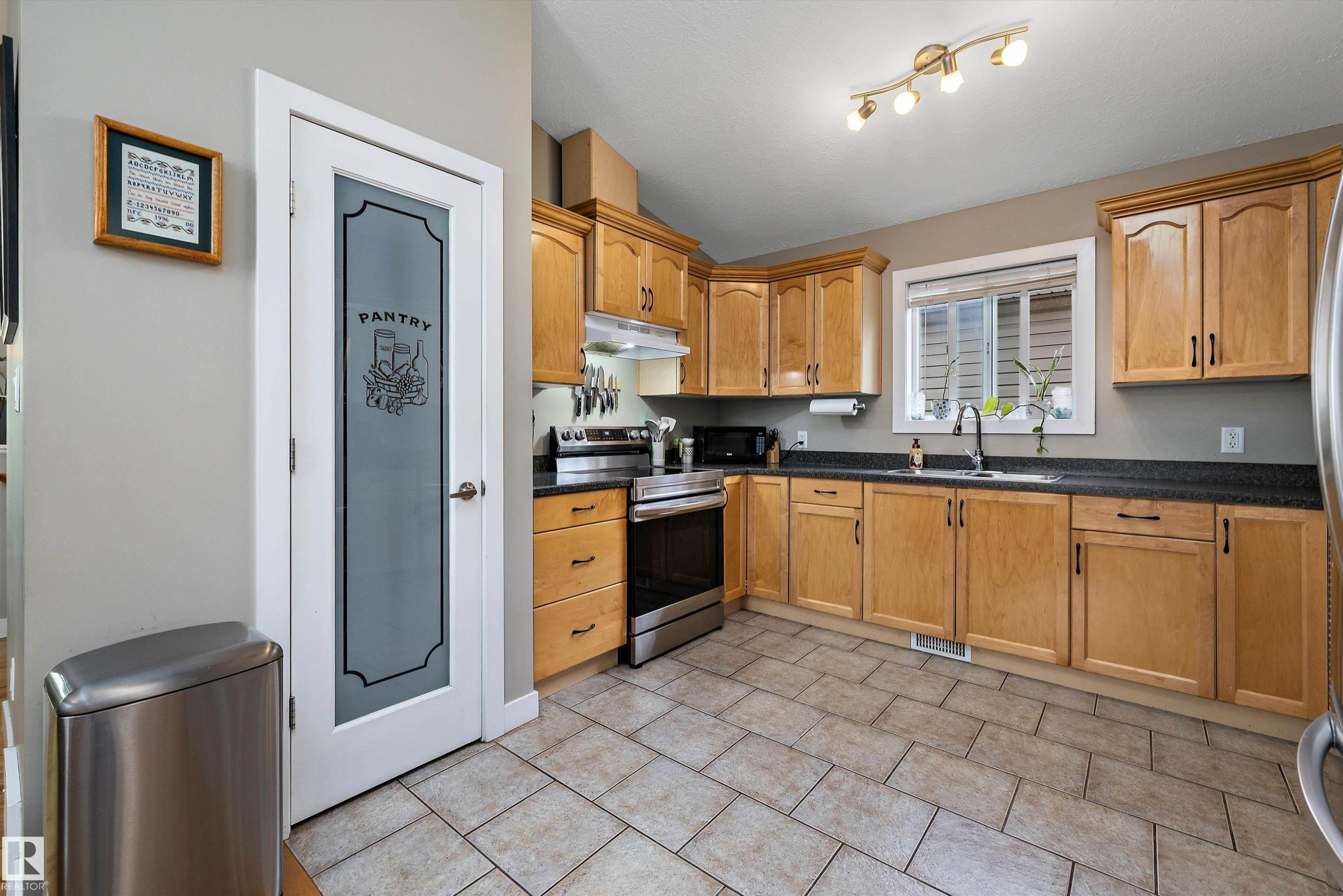 11432 87 Street Nw, Edmonton, AB - Indoor Photo Showing Kitchen With Double Sink