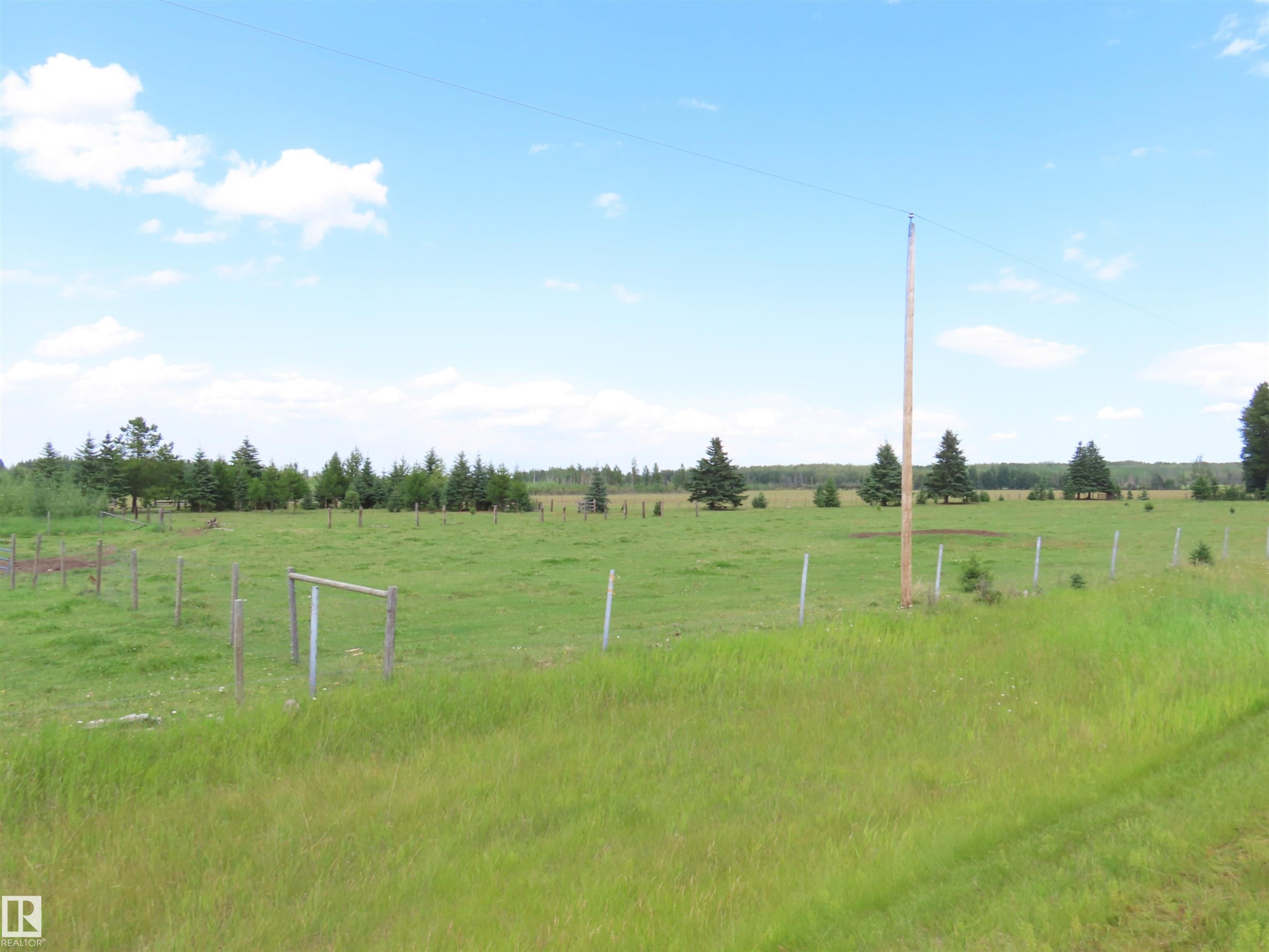 Expansive green field featuring mature evergreen trees and partial fencing - 11216 Twp 532, Rural Yellowhead, AB