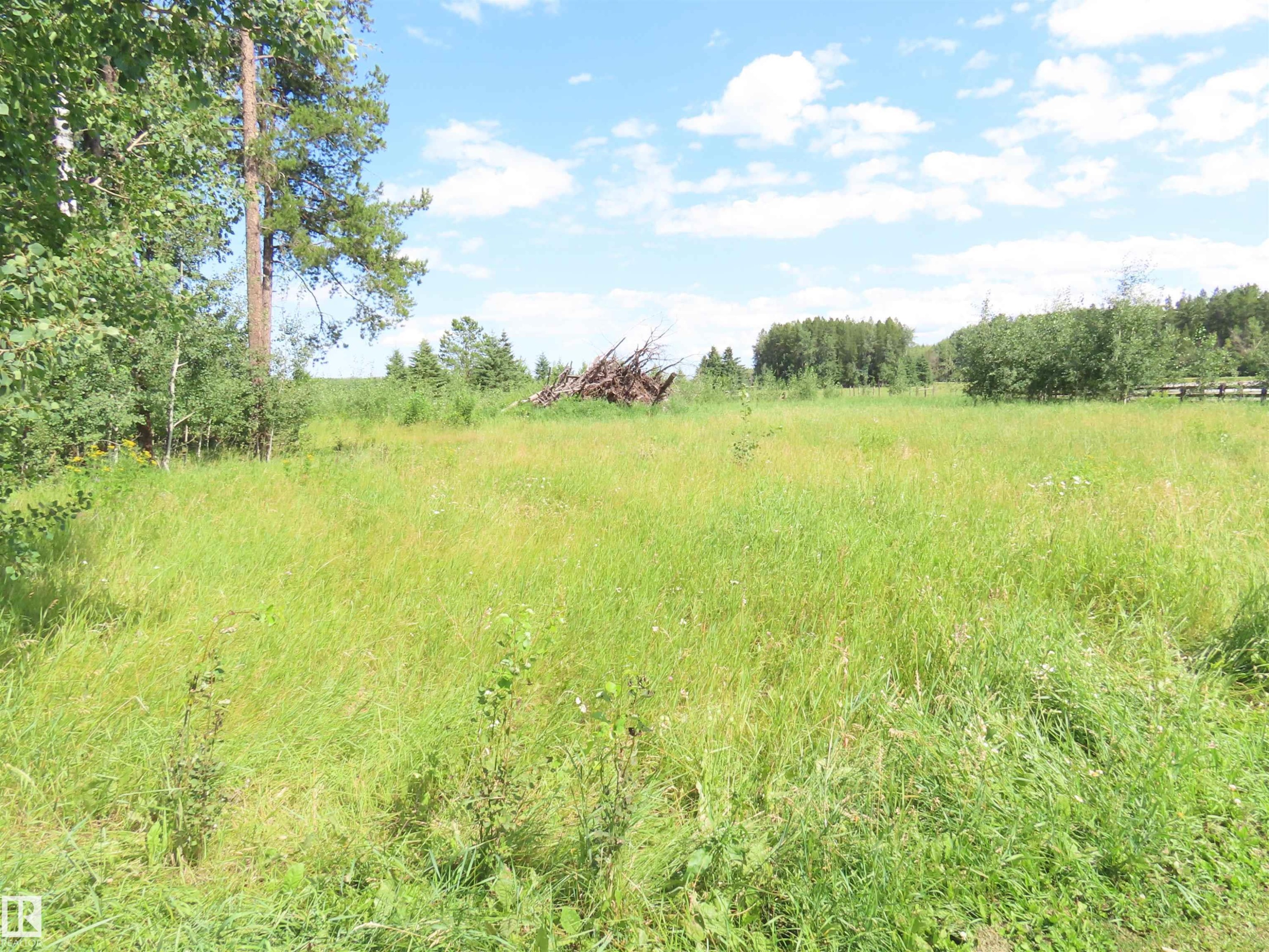 Expansive grassy field bordered by mature trees - 11216 Twp 532, Rural Yellowhead, AB