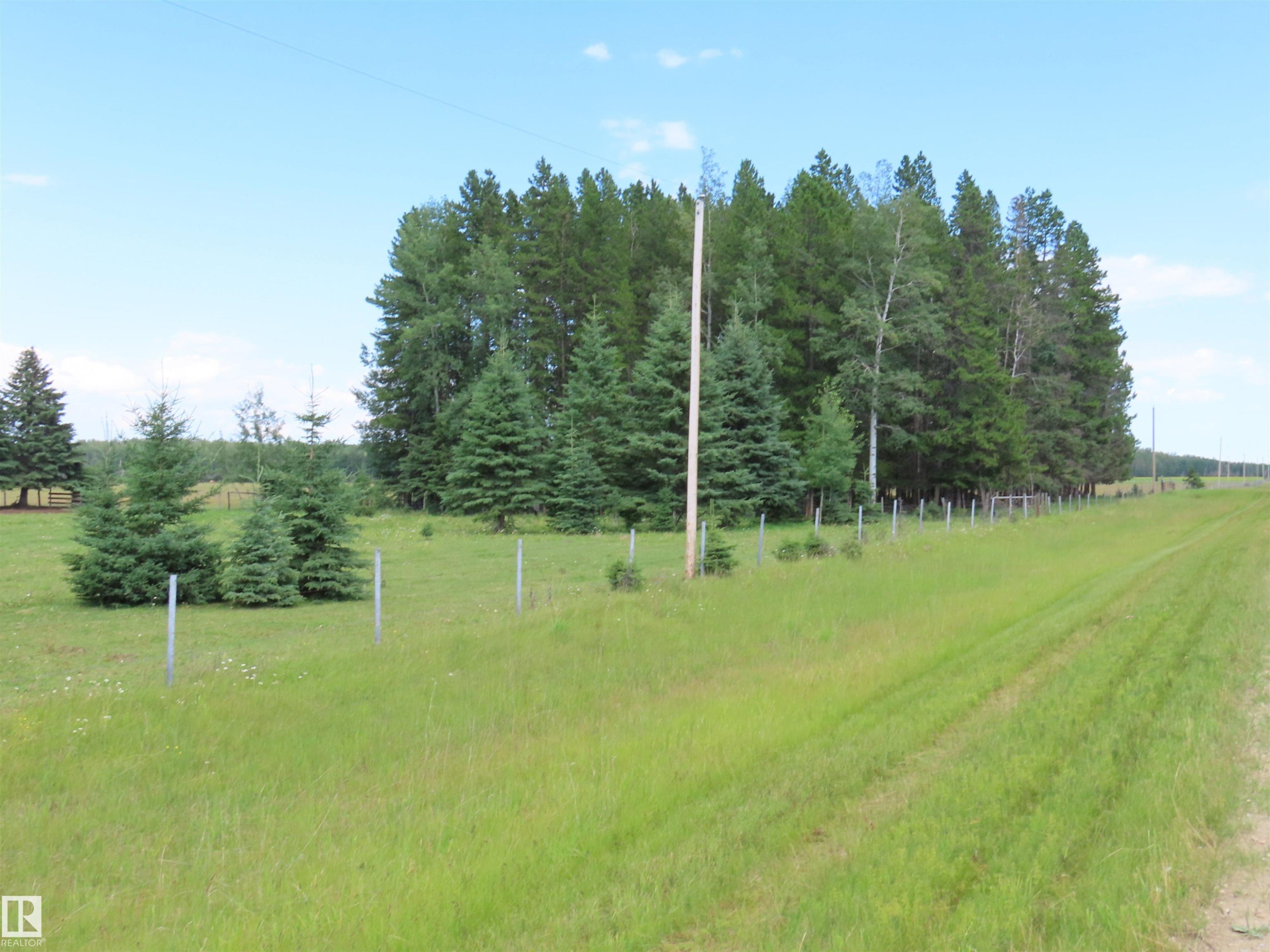 Expansive green space featuring a row of mature trees, a line of younger evergreen trees, and a utility pole - 11216 Twp 532, Rural Yellowhead, AB