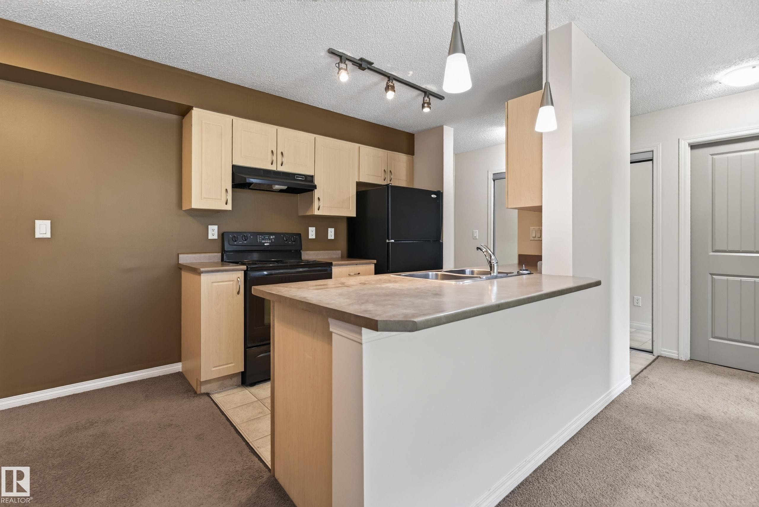 #104 13907 136 St Nw, Edmonton, AB - Indoor Photo Showing Kitchen With Double Sink