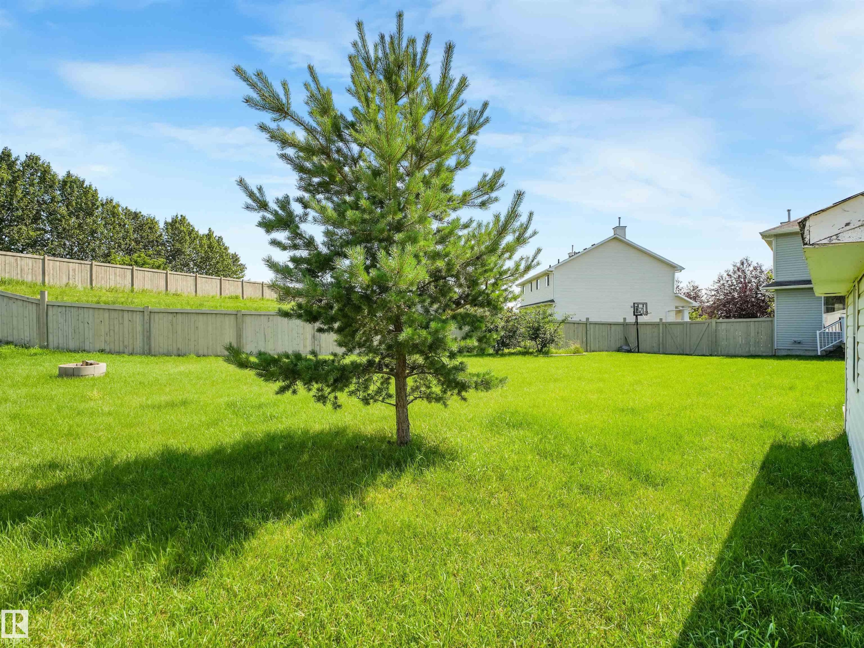 3635 11 Street Nw, Edmonton, AB - Outdoor With Backyard