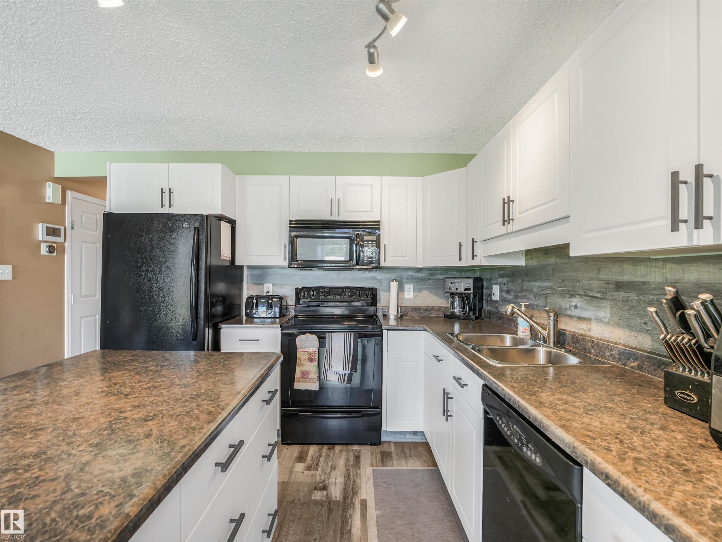 3635 11 Street Nw, Edmonton, AB - Indoor Photo Showing Kitchen With Double Sink