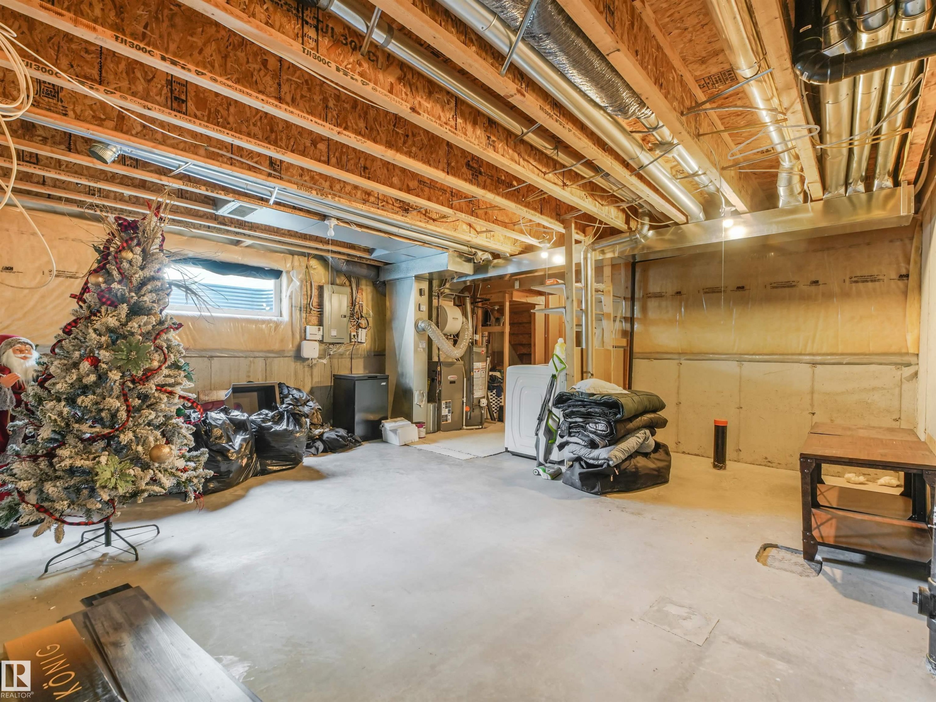 3635 11 Street Nw, Edmonton, AB - Indoor Photo Showing Basement