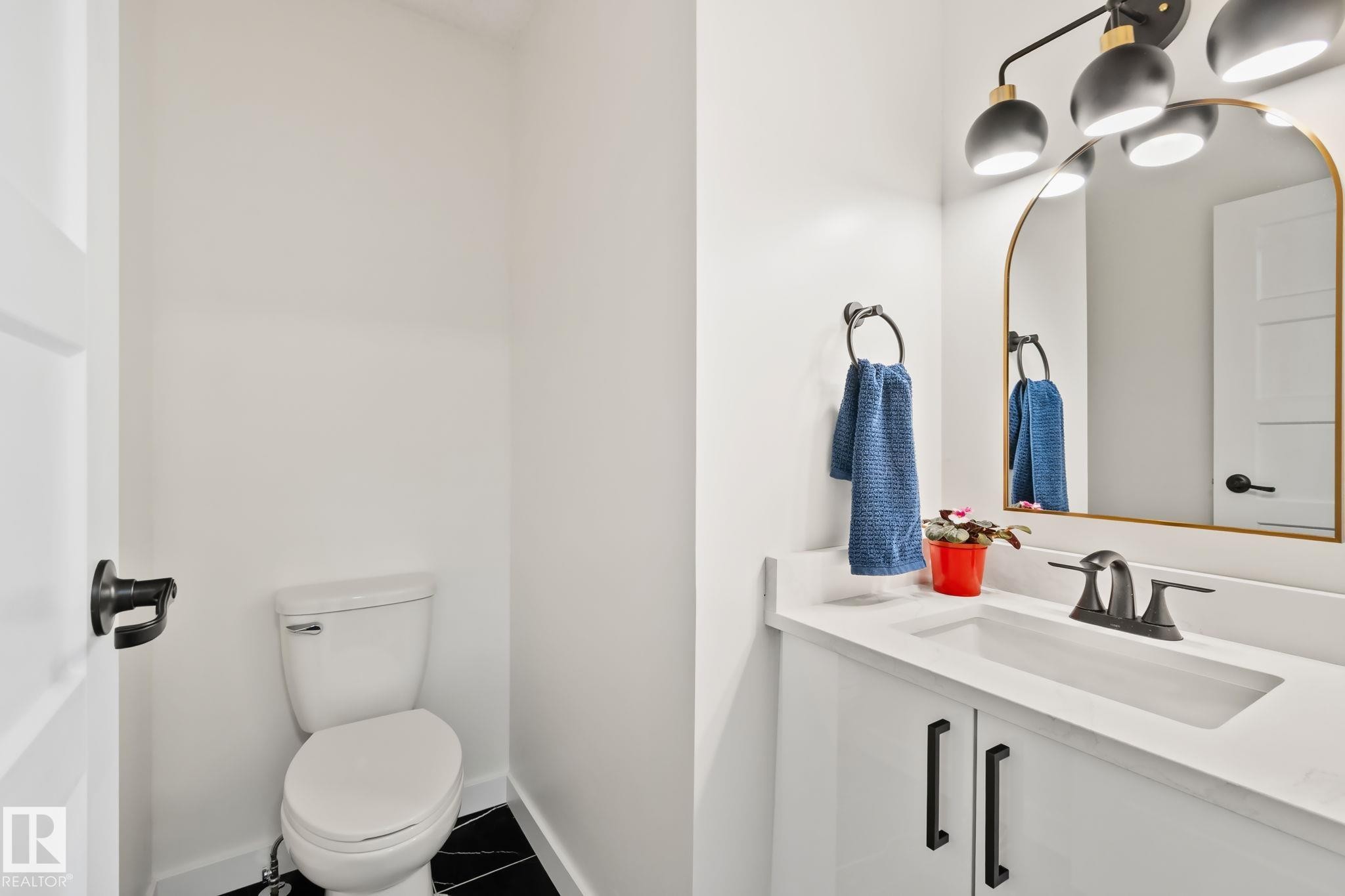 10619 35 Avenue Nw, Edmonton, AB - Indoor Photo Showing Bathroom