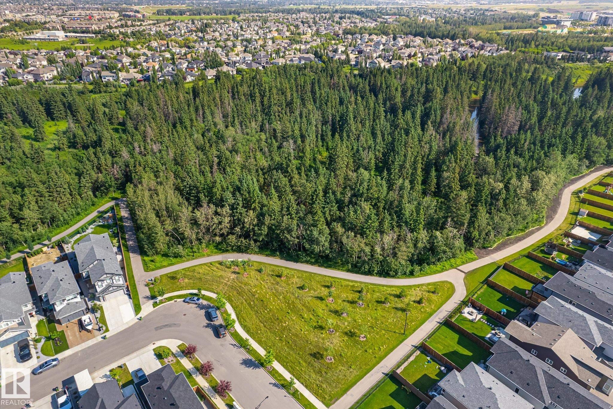 2016 Cavanagh Drive Sw, Edmonton, AB - Outdoor With View