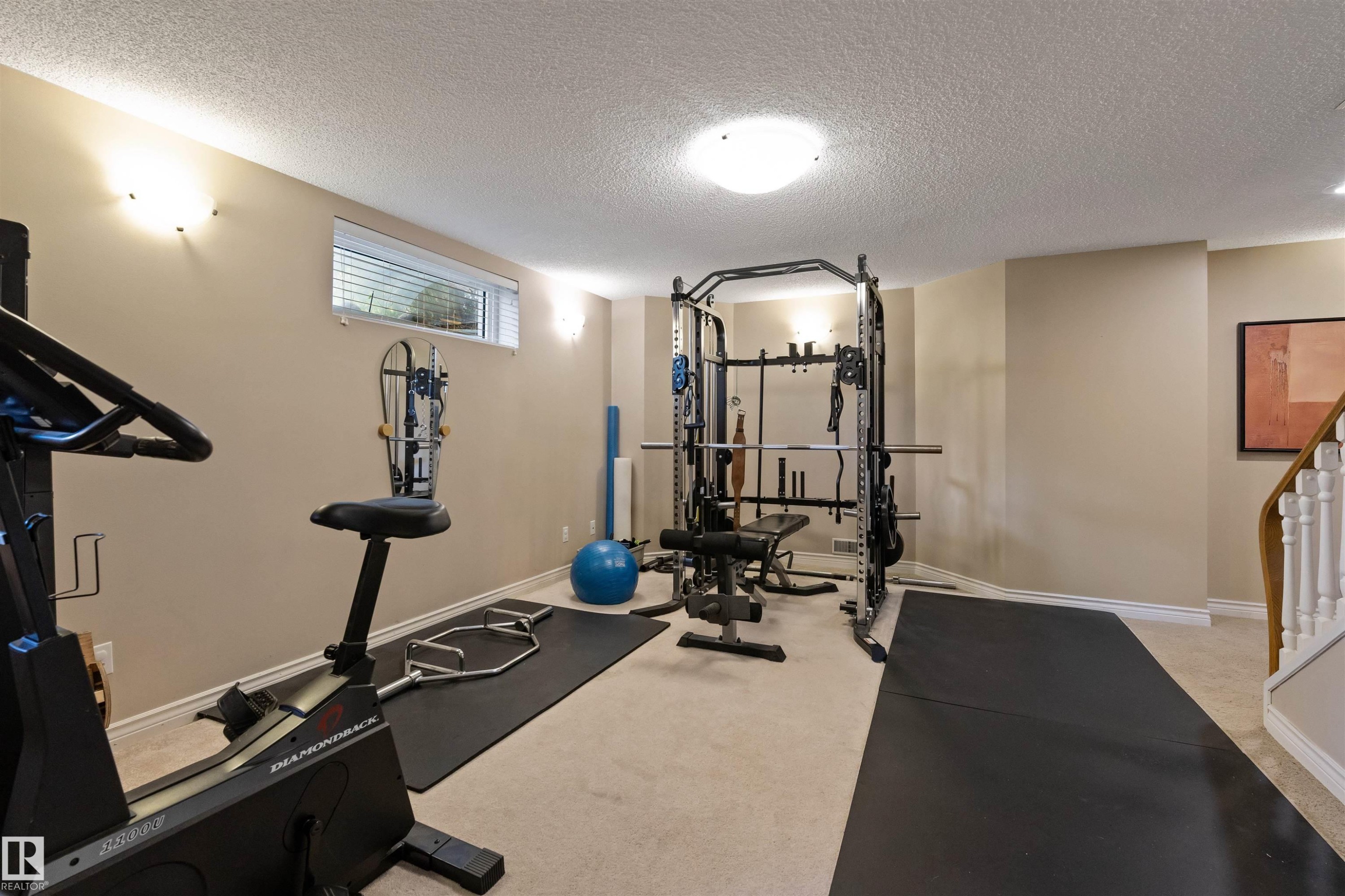 26 Eastbourne Close, St. Albert, AB - Indoor Photo Showing Gym Room