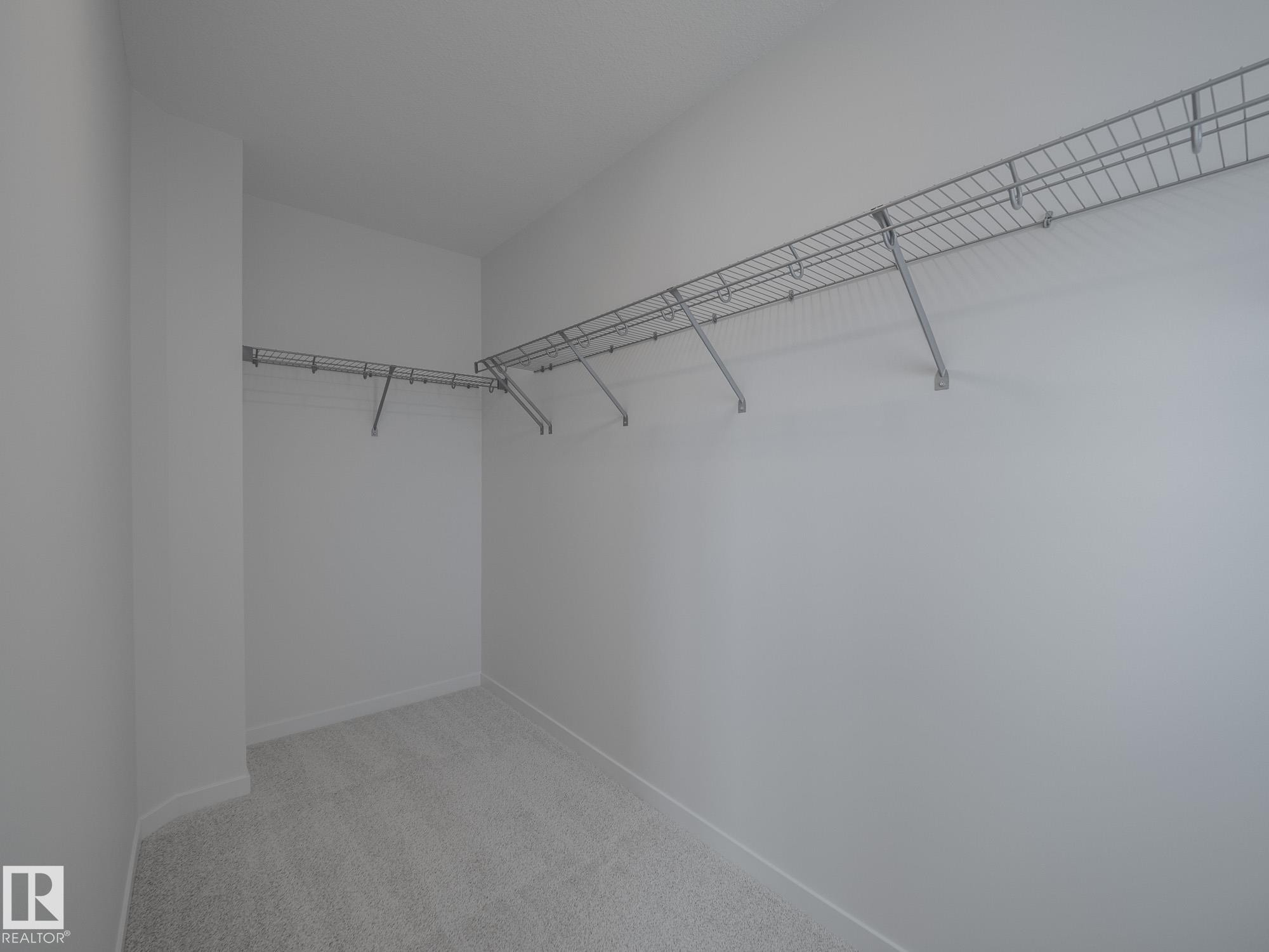 2020 194 Street Nw, Edmonton, AB - Indoor With Storage