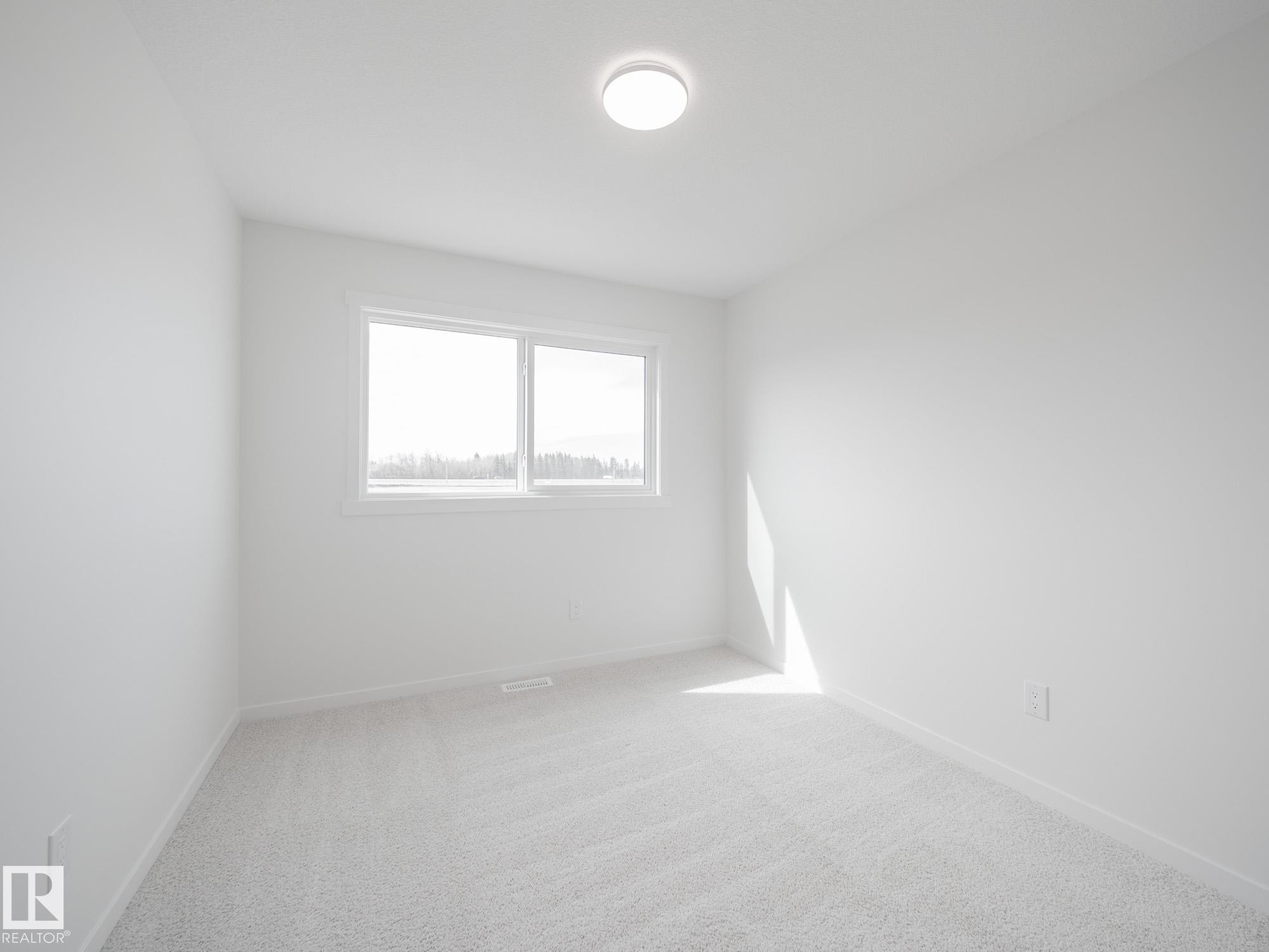 2020 194 Street Nw, Edmonton, AB - Indoor Photo Showing Other Room