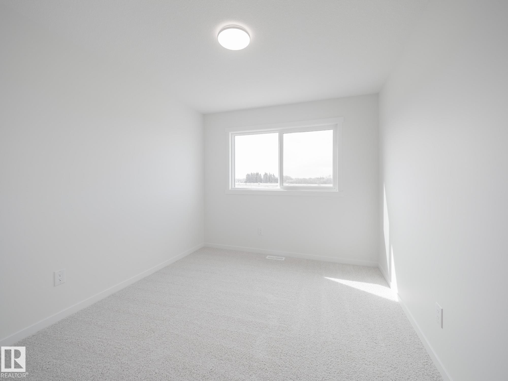 2020 194 Street Nw, Edmonton, AB - Indoor Photo Showing Other Room