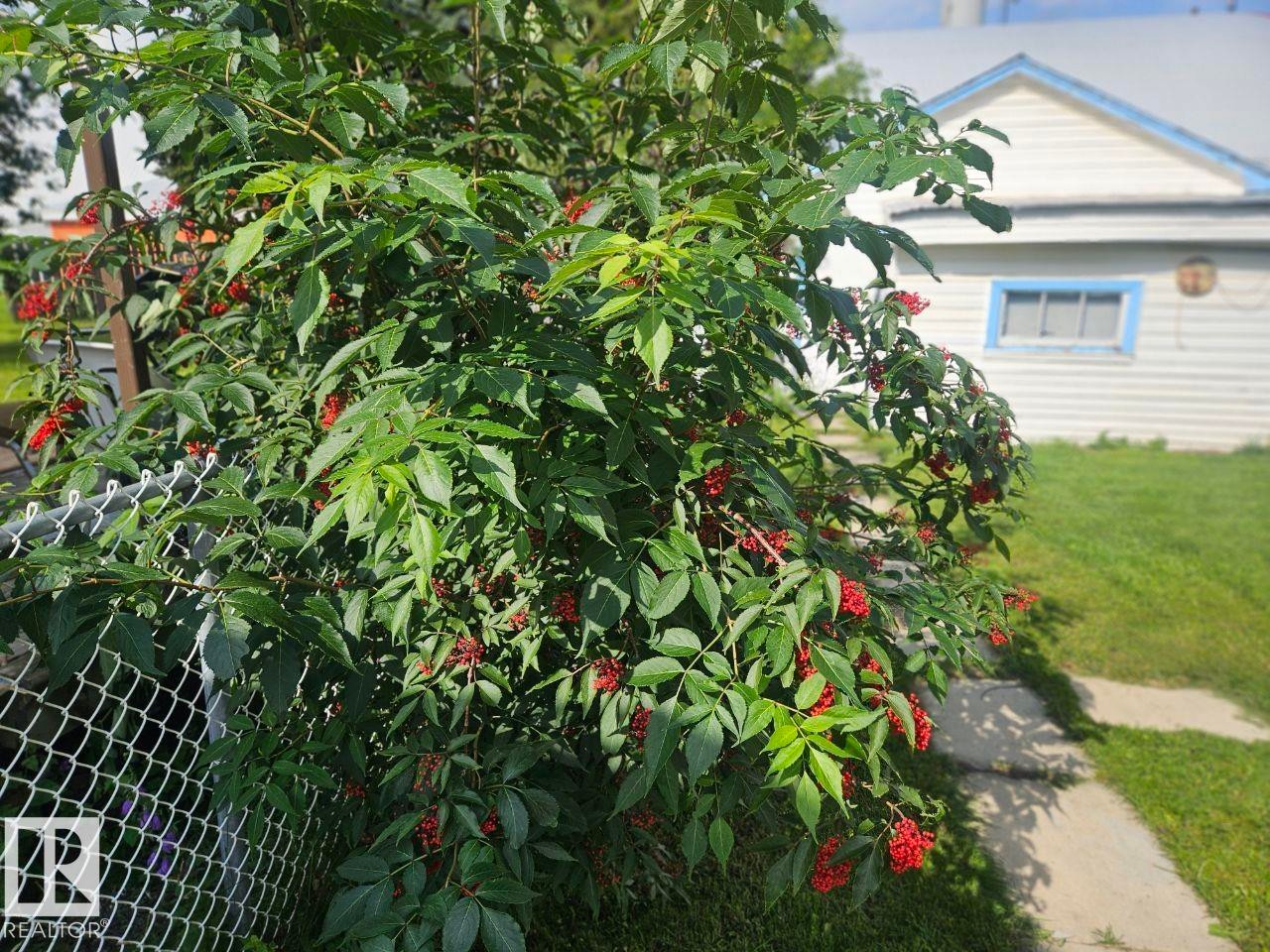 5024 50 Street, Andrew, AB - Outdoor