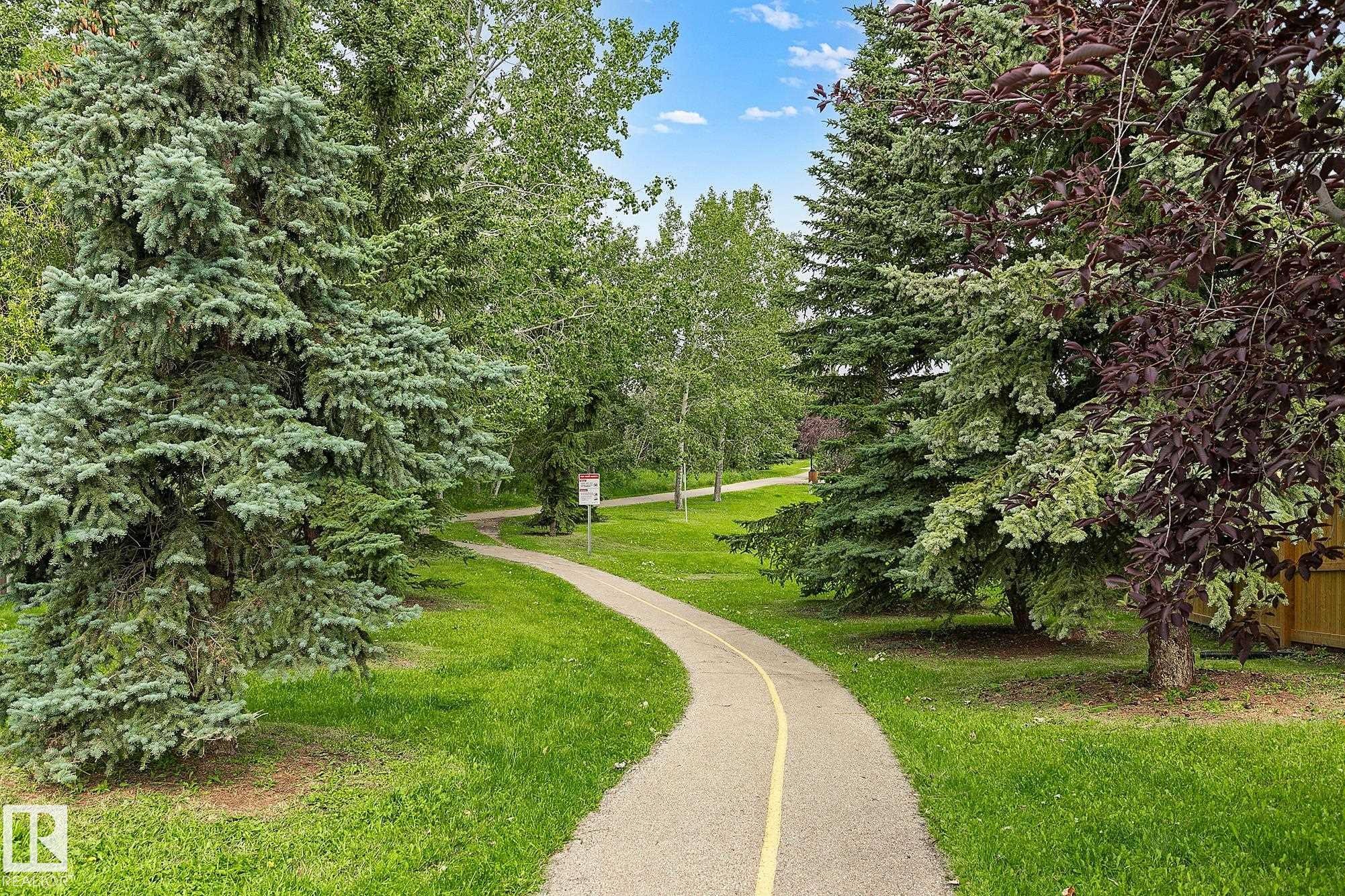 Paved pathway winding through a grassy area featuring mature evergreen trees and deciduous trees - 385 Meadowview Terrace, Sherwood Park, AB - Outdoor