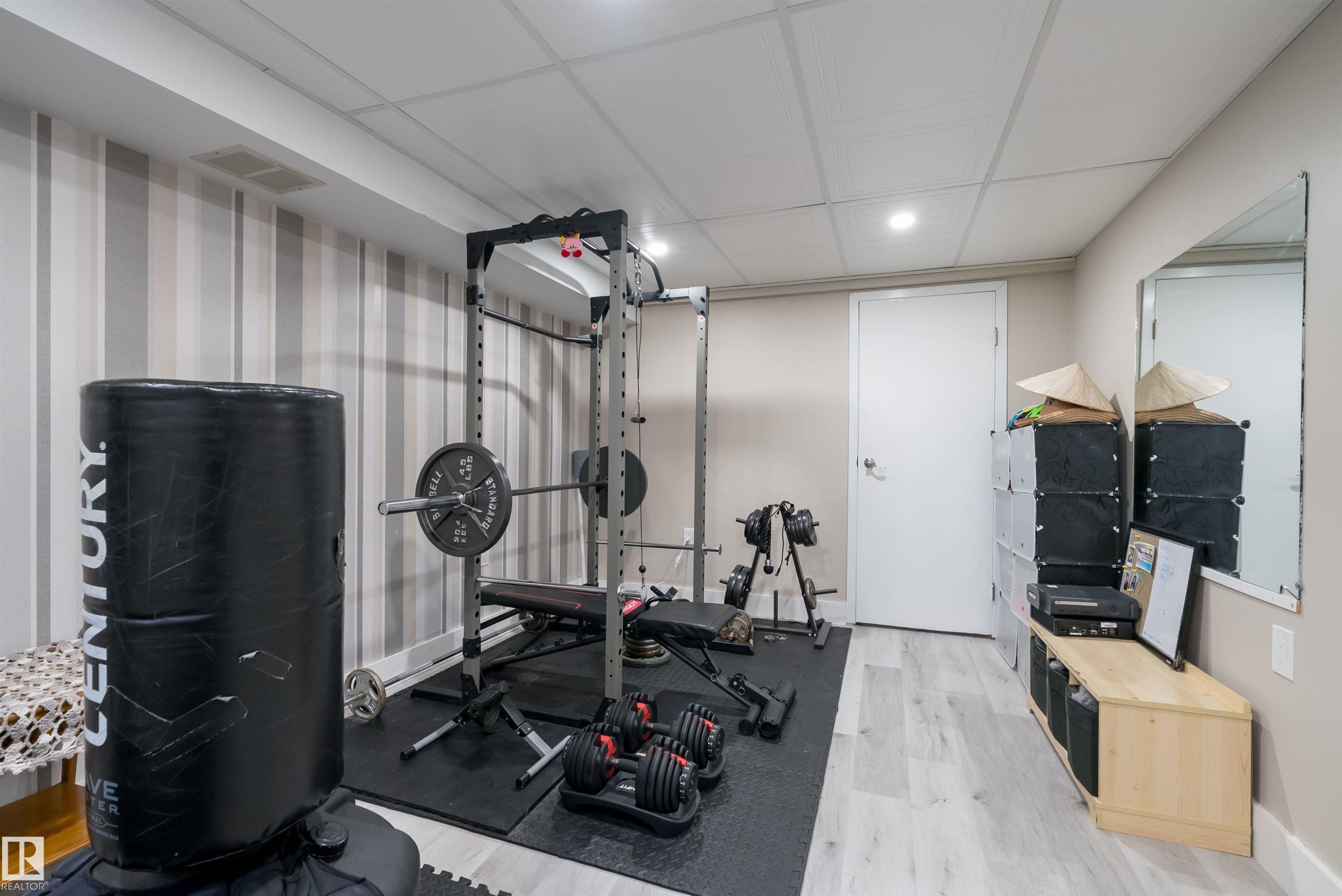 11236 40 Avenue Nw, Edmonton, AB - Indoor Photo Showing Gym Room