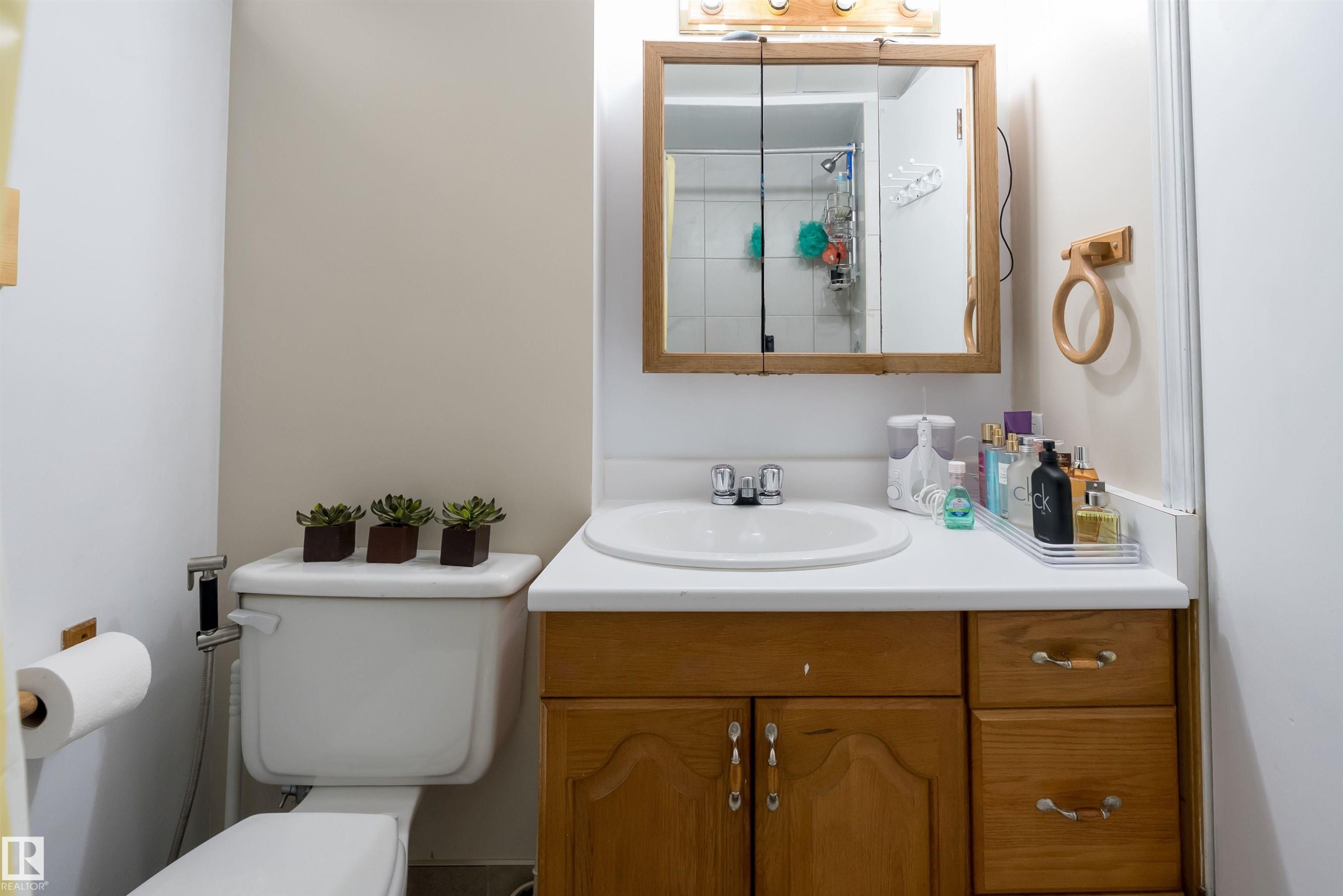 11236 40 Avenue Nw, Edmonton, AB - Indoor Photo Showing Bathroom
