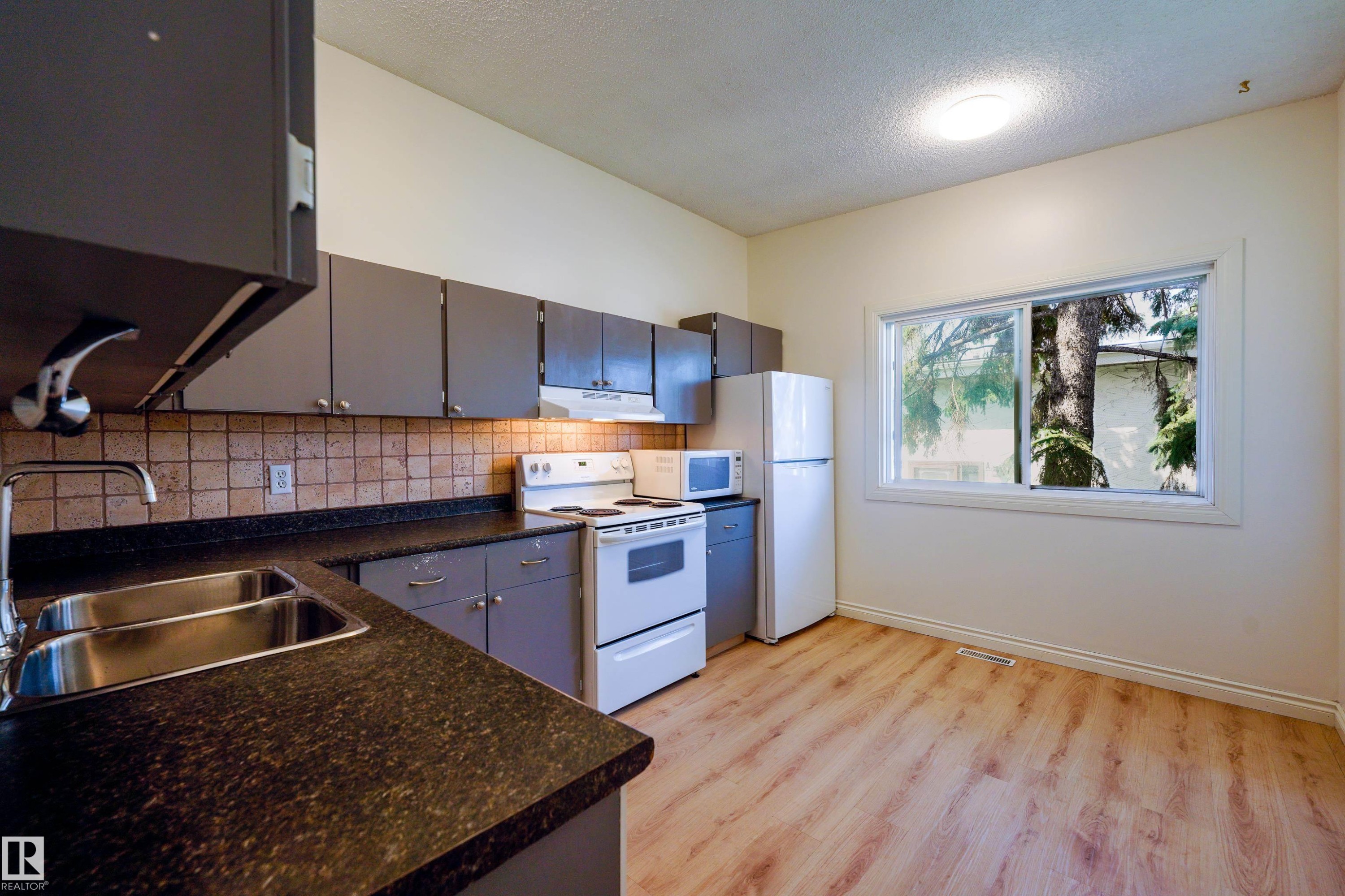 8920A 144 Avenue Nw, Edmonton, AB - Indoor Photo Showing Kitchen With Double Sink