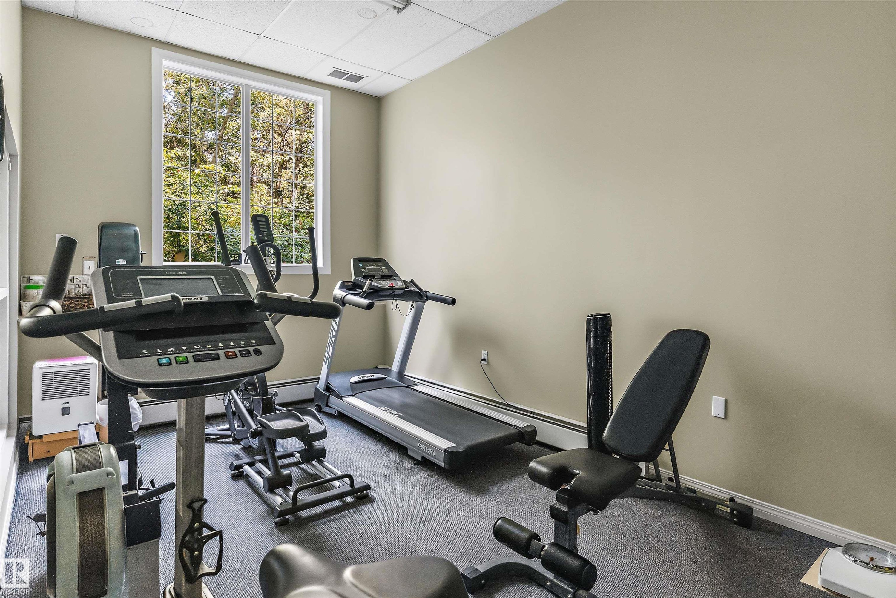 #315 612 111 St Sw, Edmonton, AB - Indoor Photo Showing Gym Room