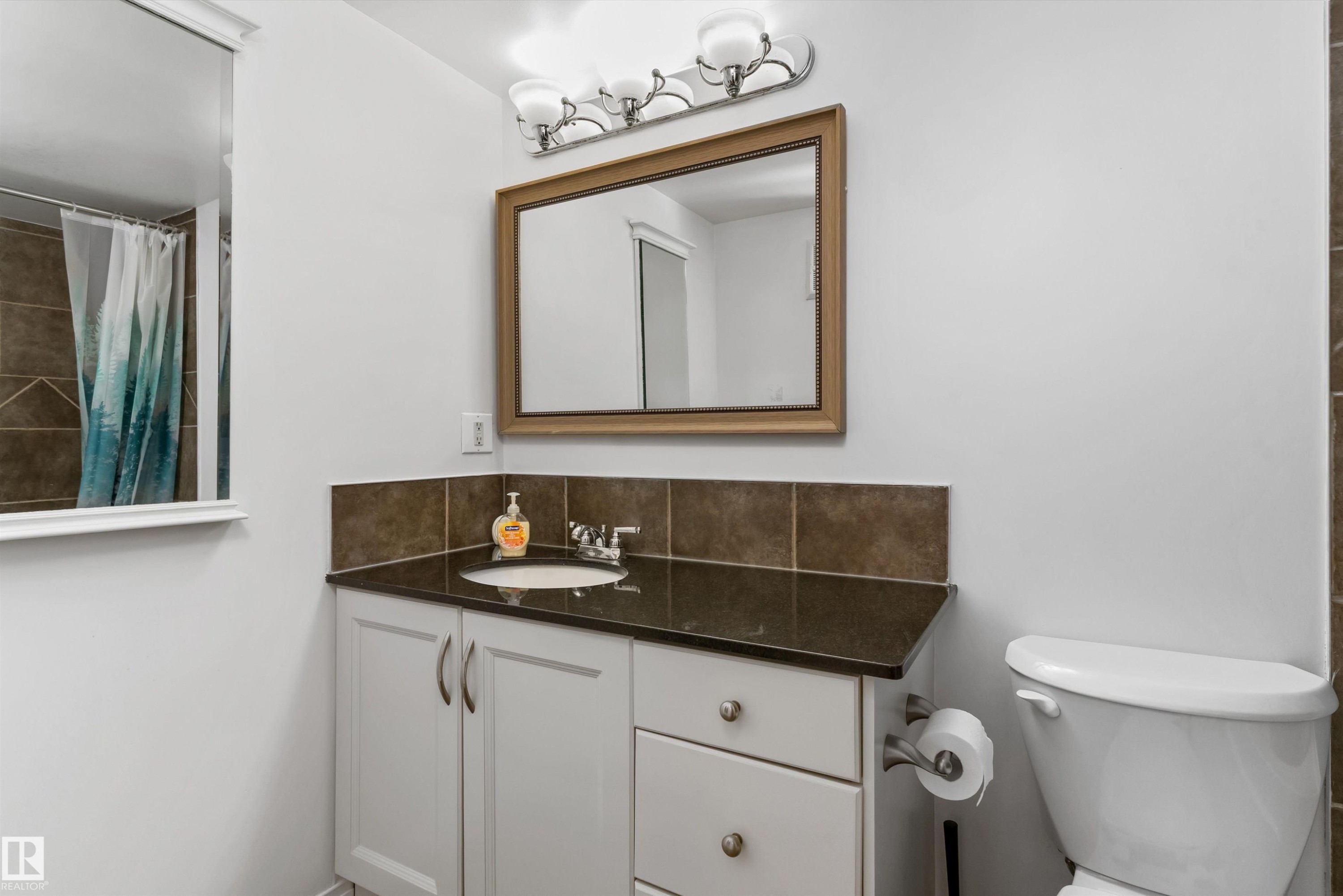 #102 10720 84 Av Nw, Edmonton, AB - Indoor Photo Showing Bathroom