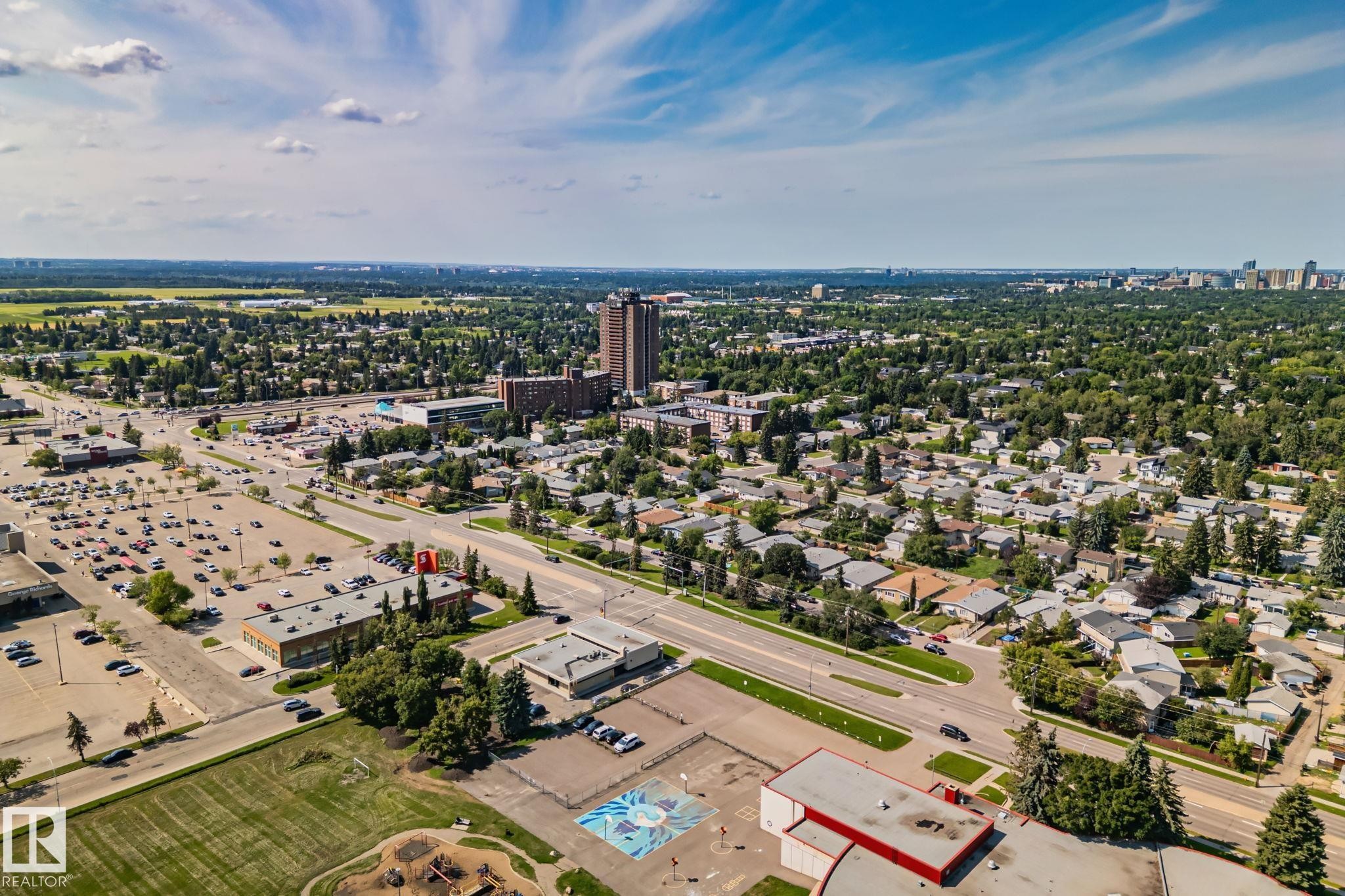 Expansive aerial perspective showcasing a verdant residential area with mature tree canopies - 4723 105 Street Nw, Edmonton, AB - Outdoor With View