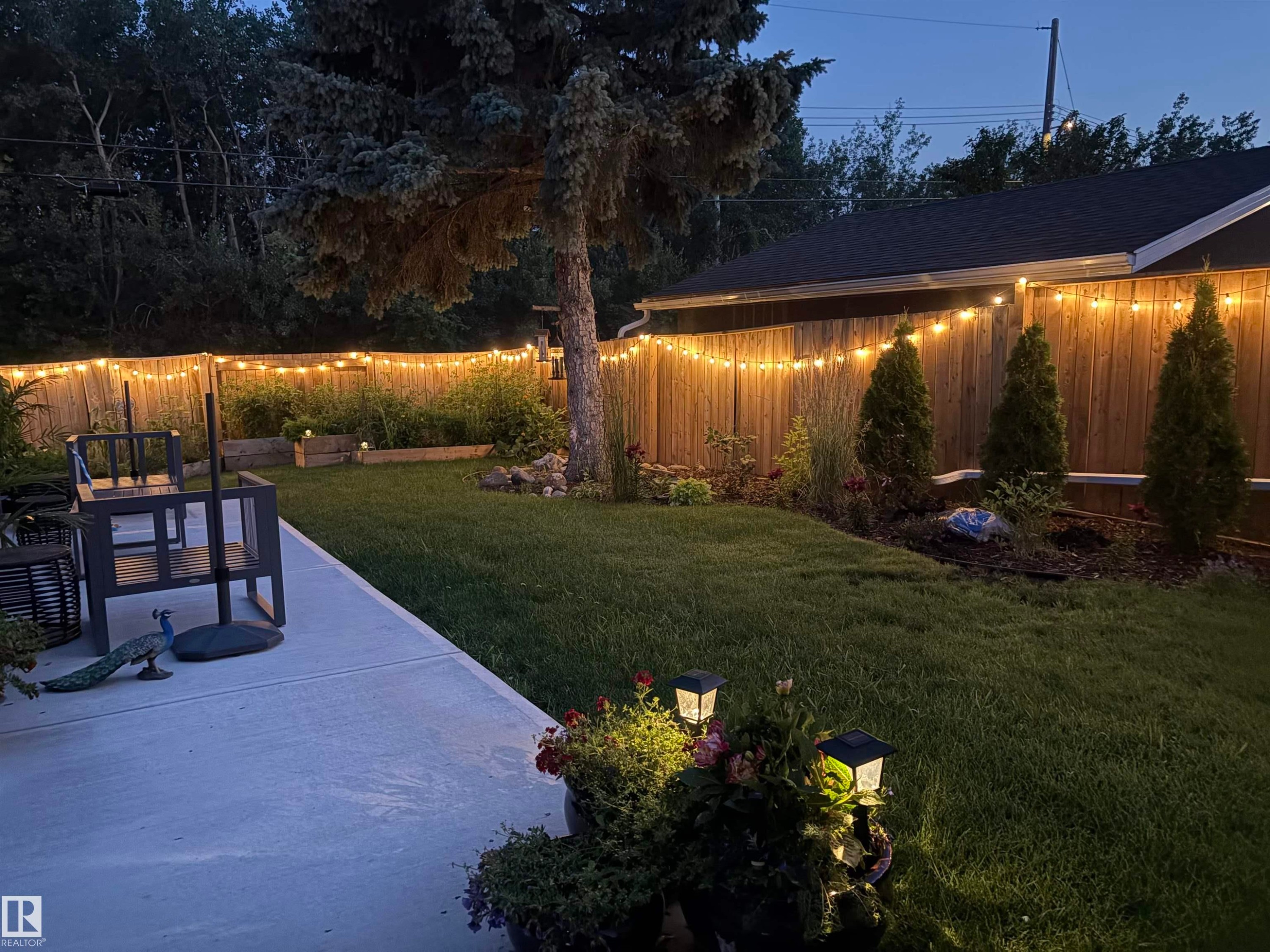 Expansive backyard featuring a concrete patio, manicured lawn, and a wooden privacy fence adorned with string lighting - 11351 35A Avenue Nw, Edmonton, AB - Outdoor