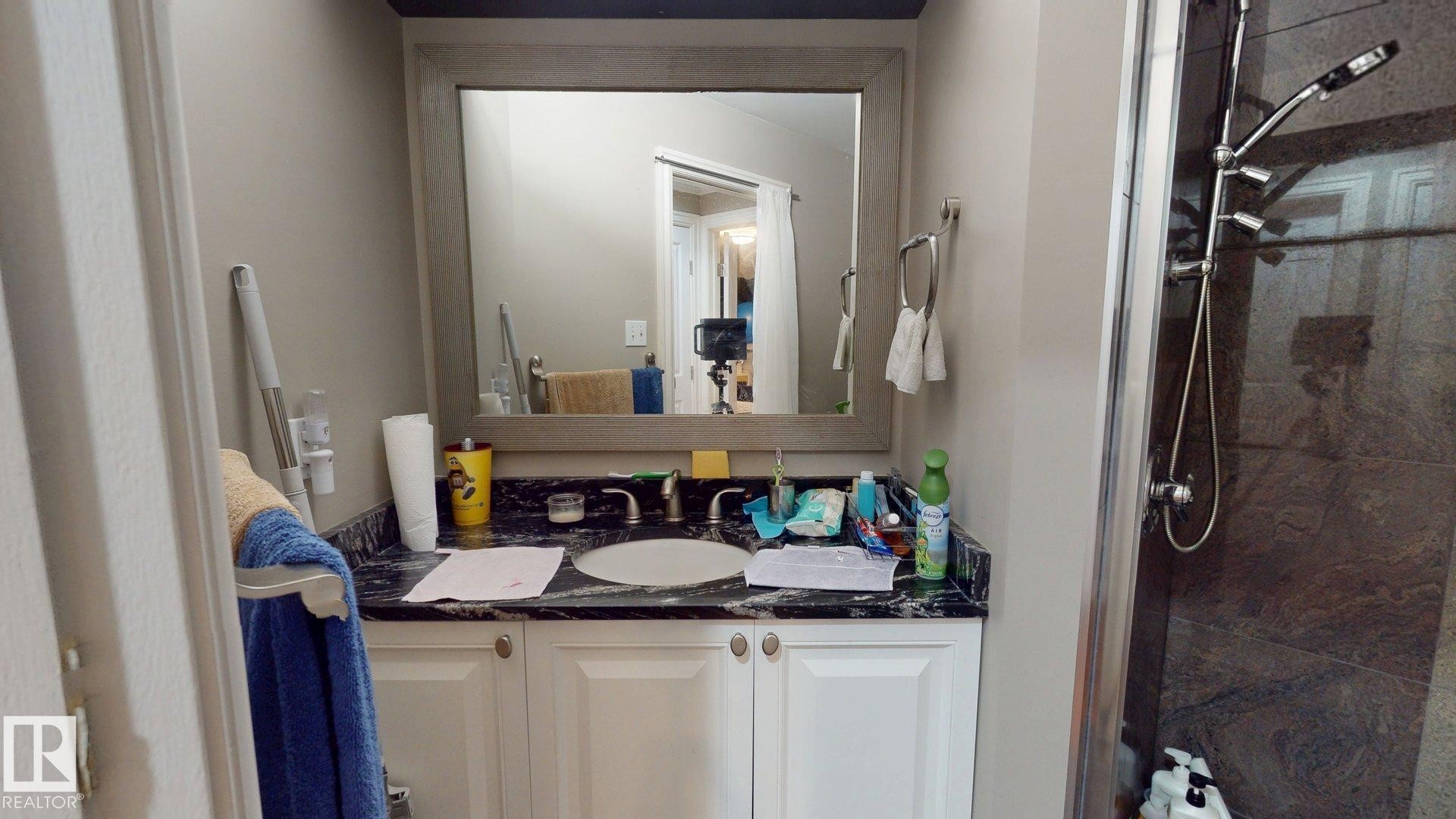 852 Wheeler Road Nw, Edmonton, AB - Indoor Photo Showing Bathroom