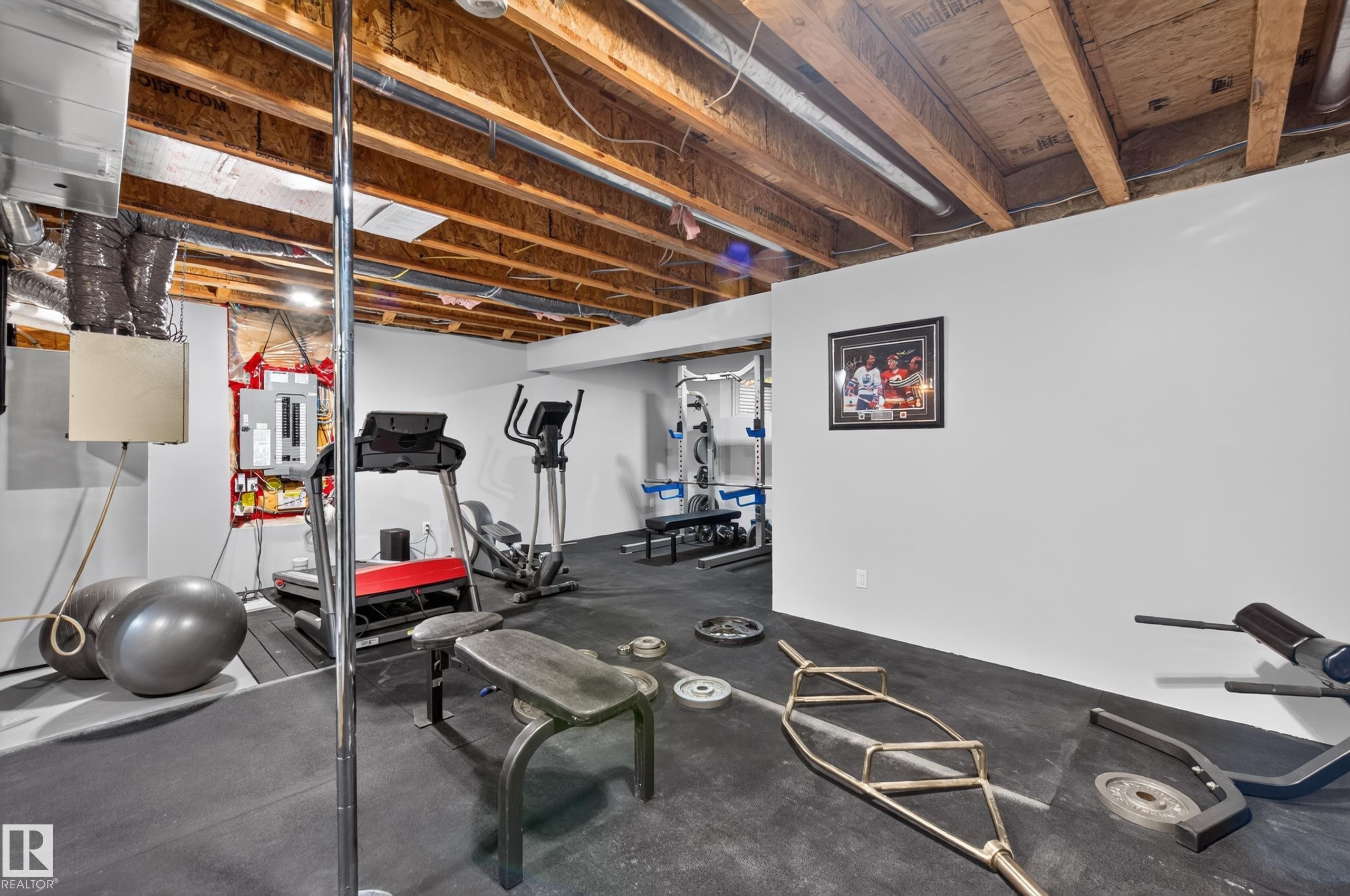 14 Sunbury Place, Sherwood Park, AB - Indoor Photo Showing Basement
