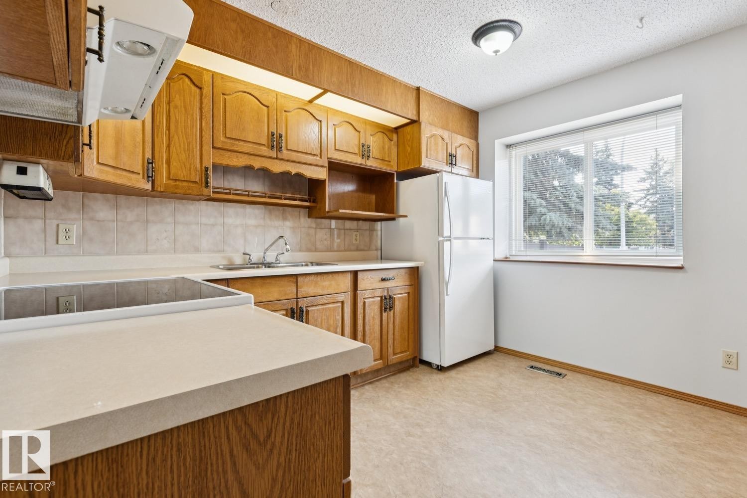 198 Tudor Lane Nw, Edmonton, AB - Indoor Photo Showing Kitchen With Double Sink