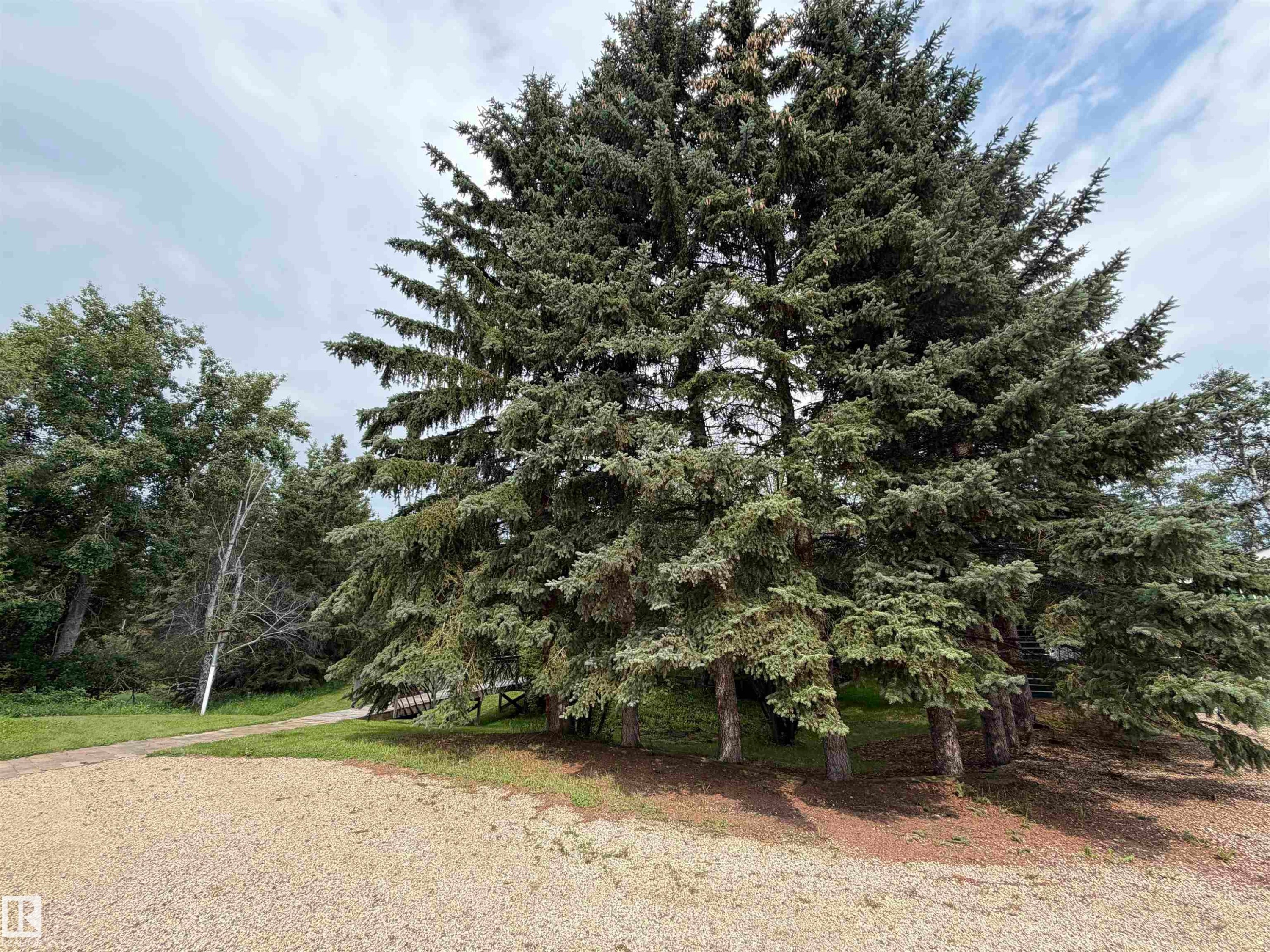 54046 Rge Road 213, Rural Strathcona County, AB - Outdoor