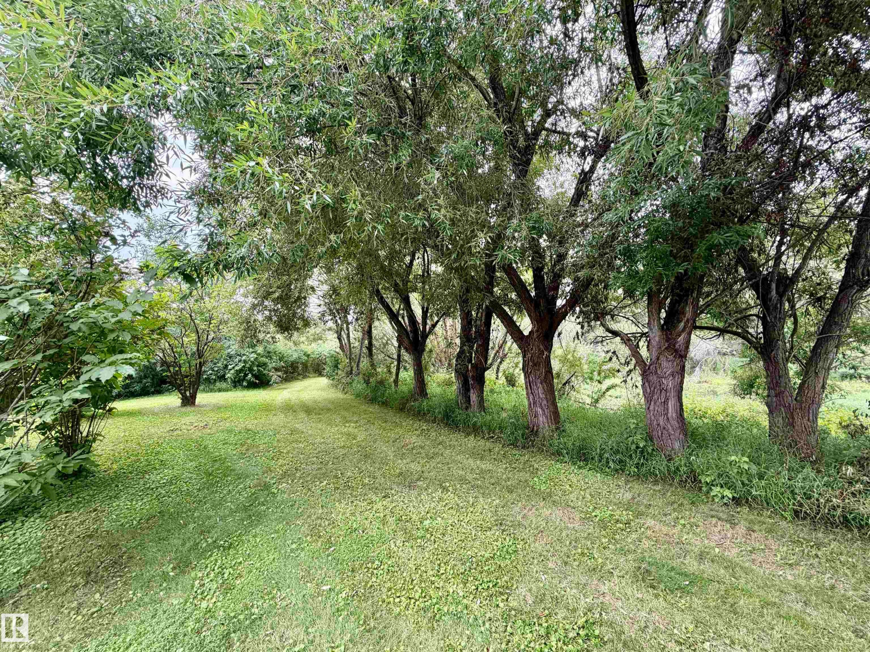 54046 Rge Road 213, Rural Strathcona County, AB - Outdoor