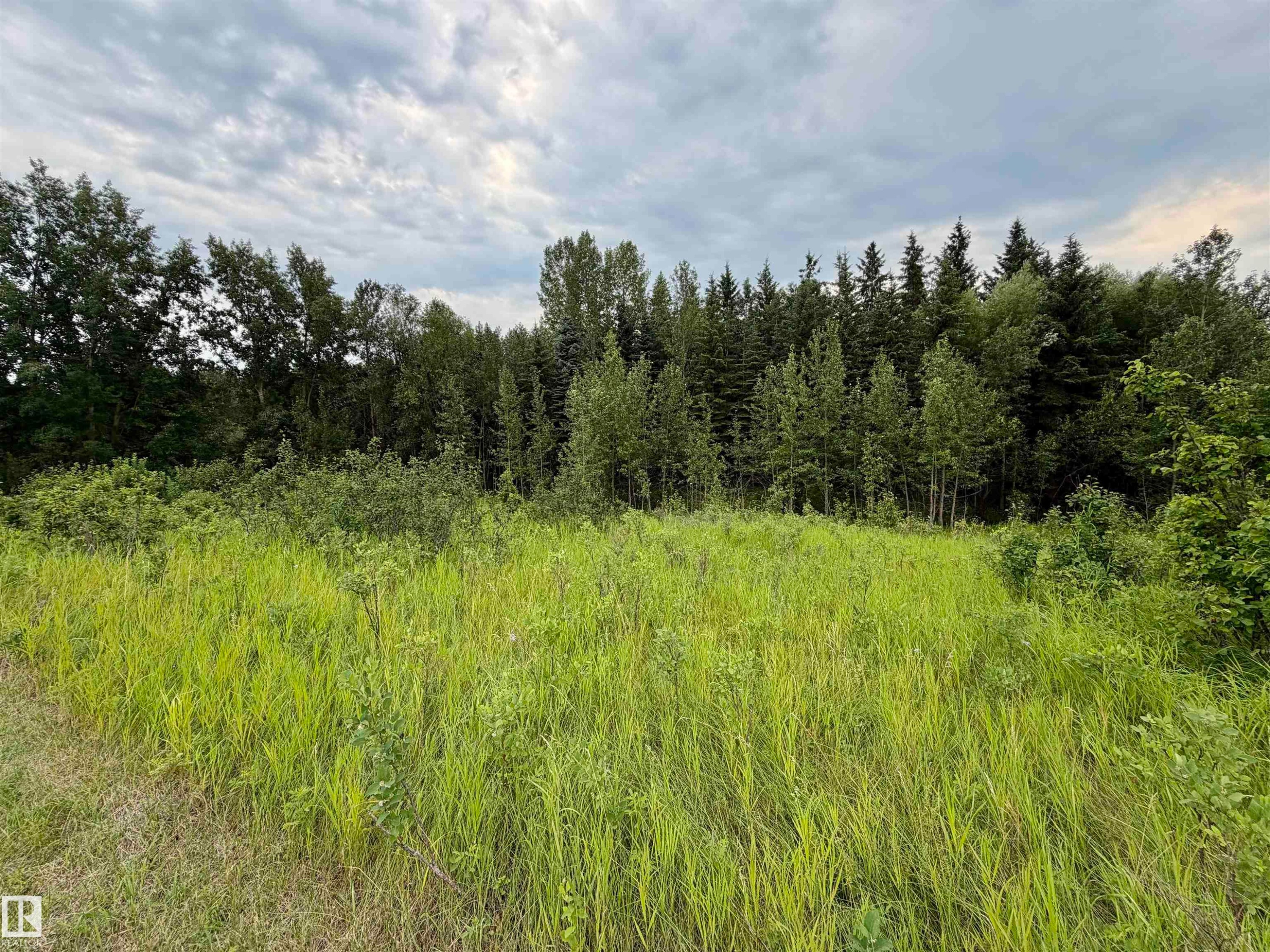 54046 Rge Road 213, Rural Strathcona County, AB - Outdoor With View