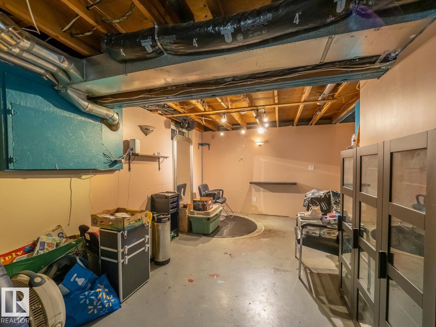 208 Grandin Village, St. Albert, AB - Indoor Photo Showing Basement