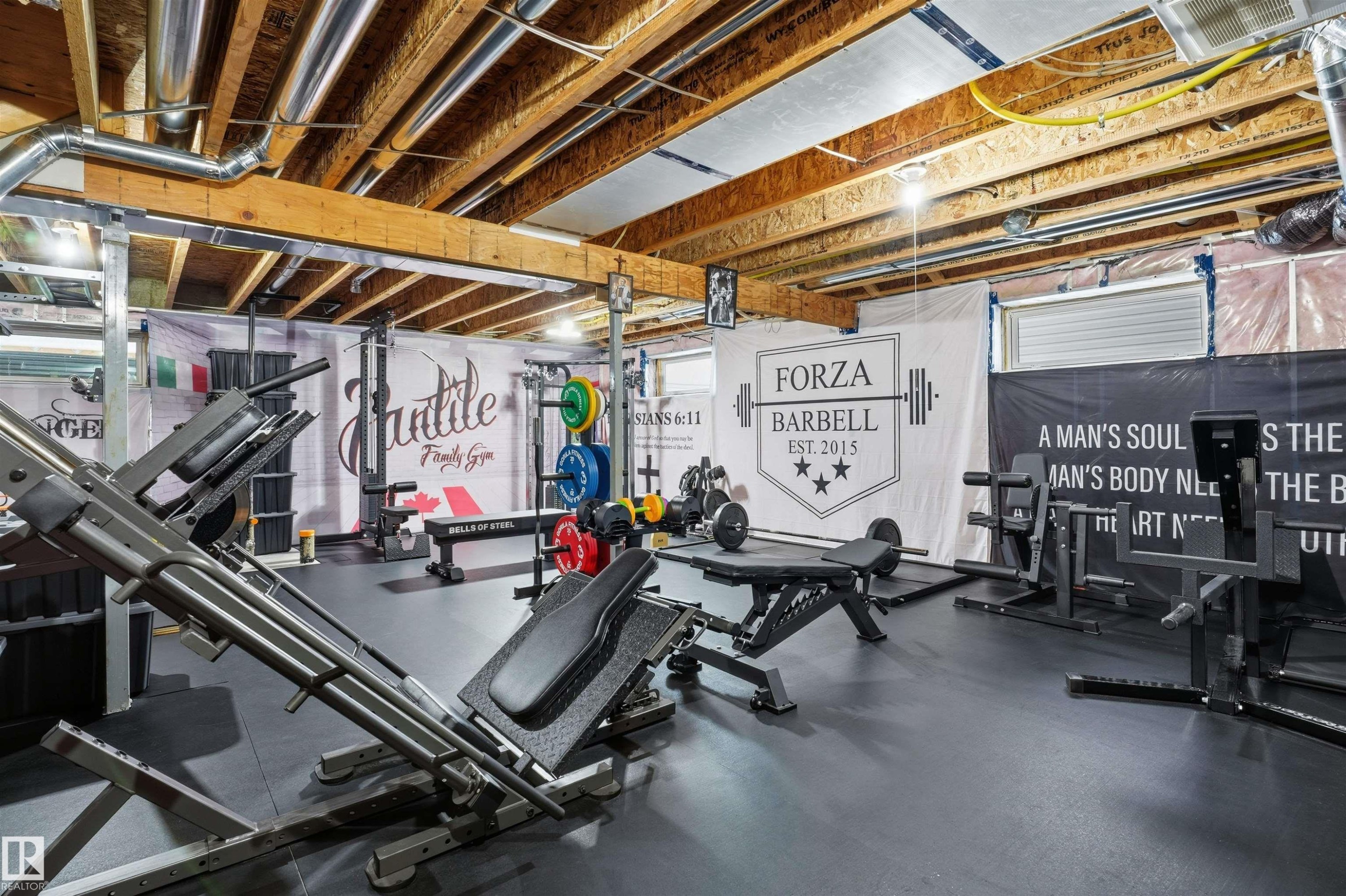 4618 170A Avenue Nw, Edmonton, AB - Indoor Photo Showing Basement