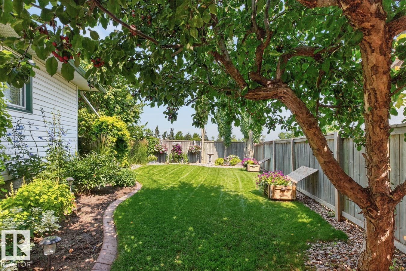Expansive backyard oasis featuring a lush, manicured lawn with mature shade trees, bordered by metal fencing and established landscaping beds - 27 Milford Crescent, Sherwood Park, AB - Outdoor