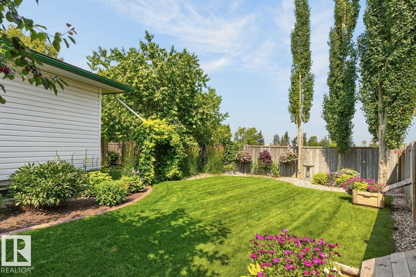 Expansive backyard showcasing a lush, manicured lawn with mature shade trees, vibrant perennial flower beds, and established evergreen privacy screening - 27 Milford Crescent, Sherwood Park, AB - Outdoor