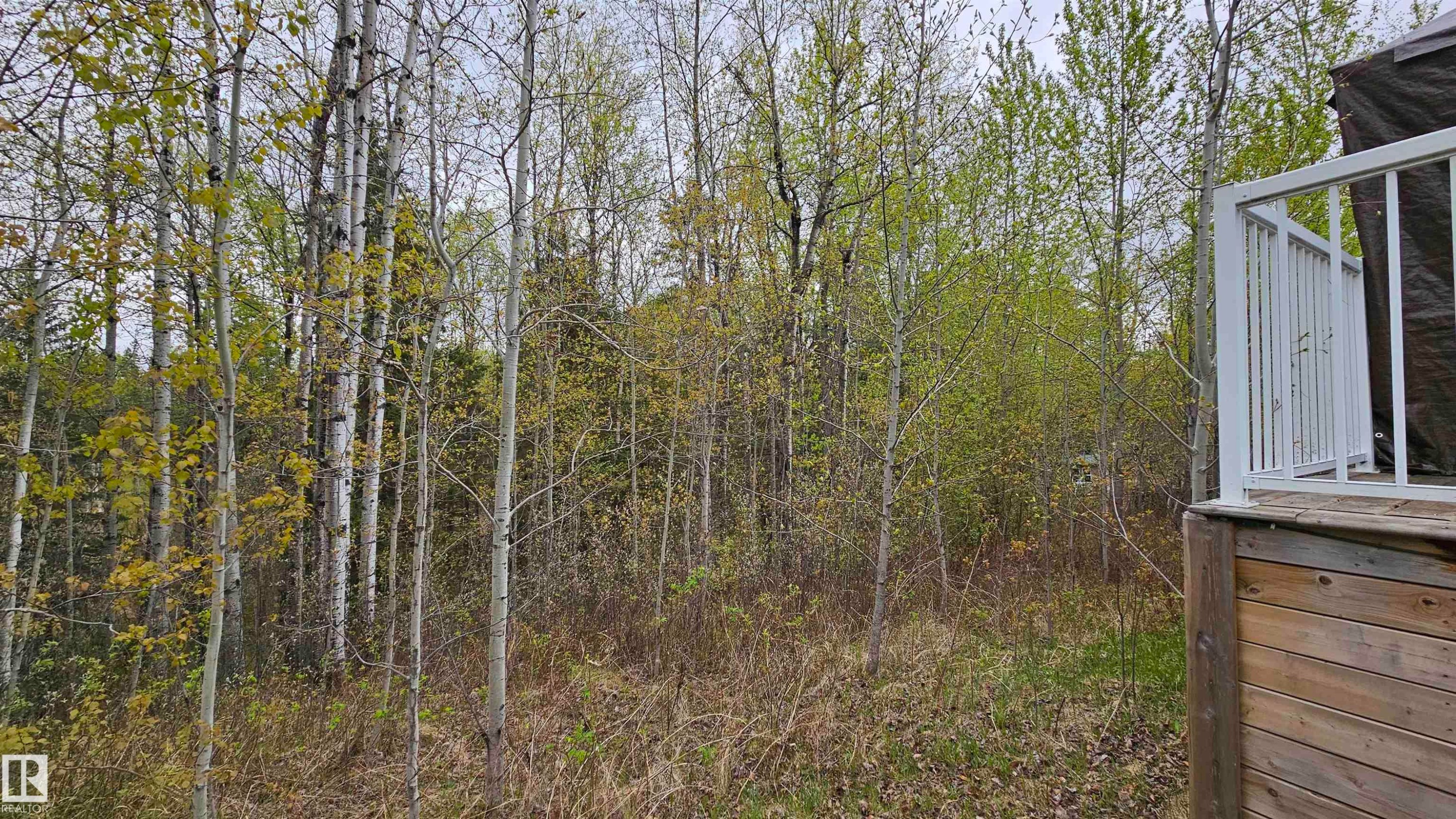 7 Andrew Drive, Rural Athabasca County, AB - Outdoor