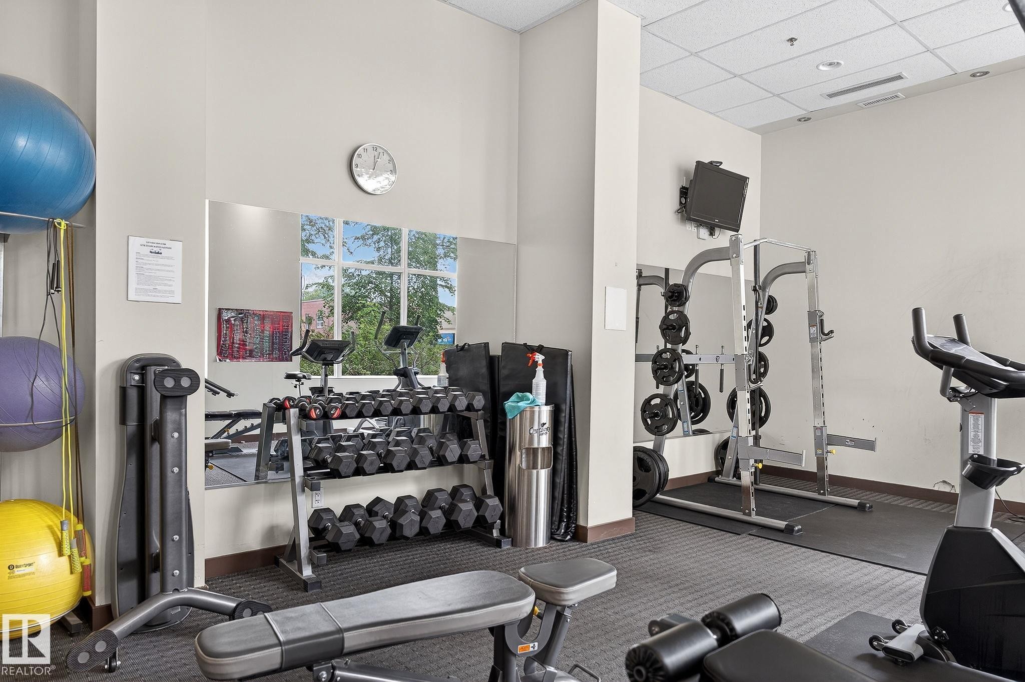 #203 10046 117 St Nw, Edmonton, AB - Indoor Photo Showing Gym Room