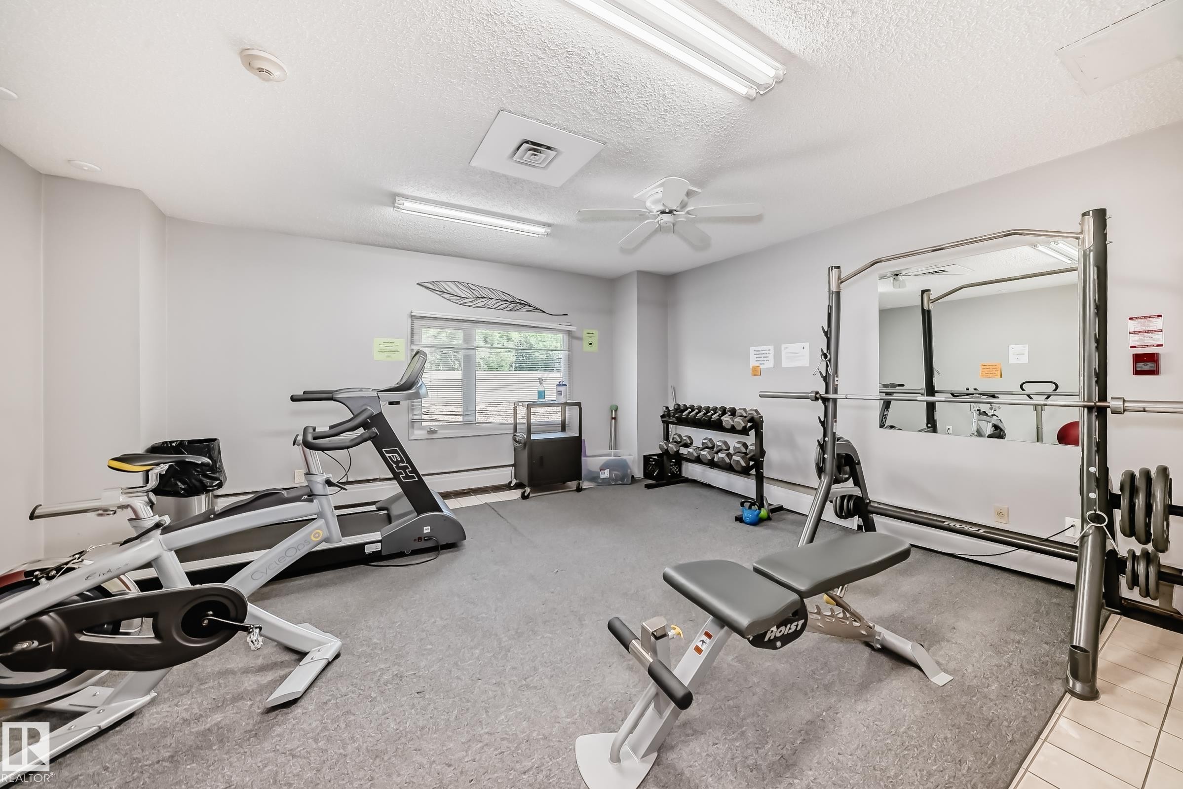#1601 9909 110 St Nw, Edmonton, AB - Indoor Photo Showing Gym Room