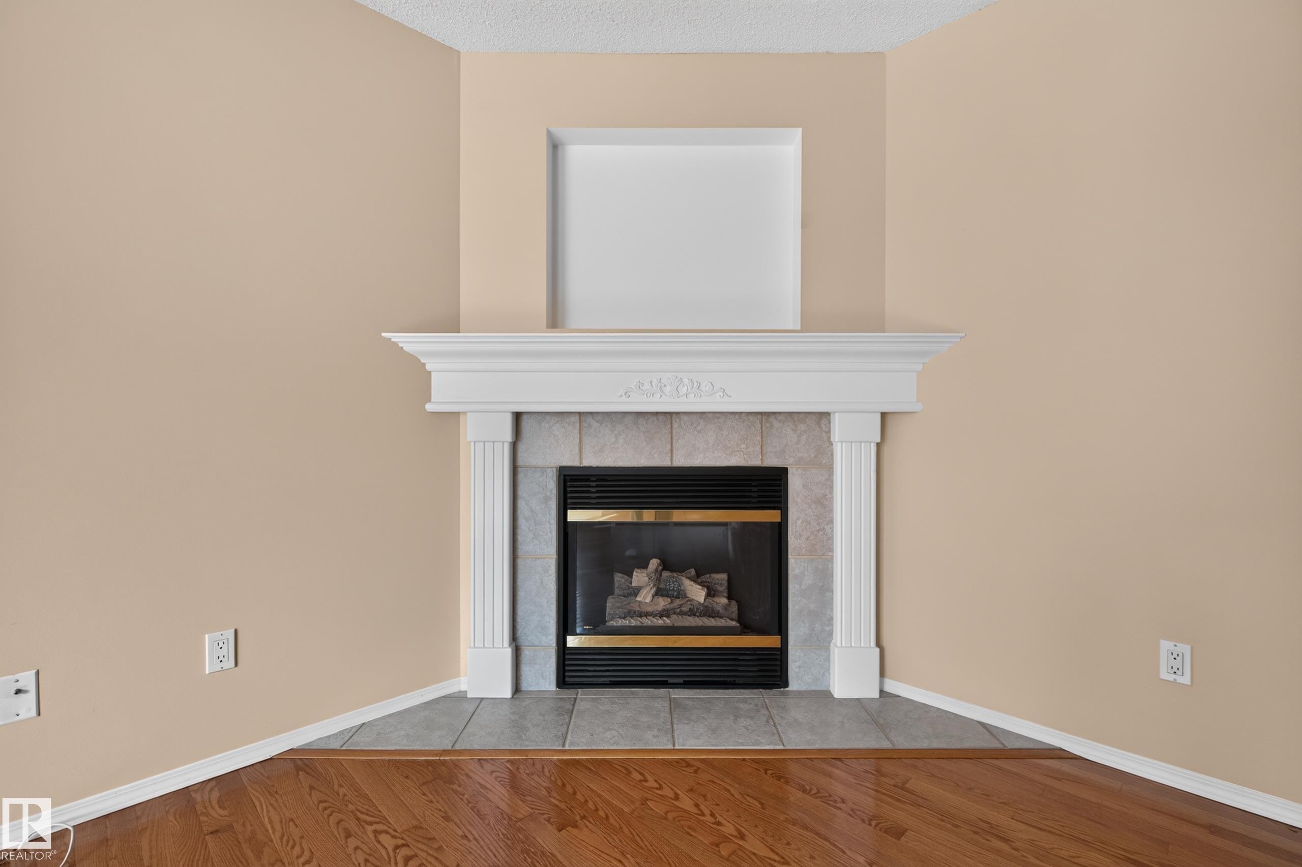 #111 1670 Jamha Rd Nw, Edmonton, AB - Indoor Photo Showing Living Room With Fireplace
