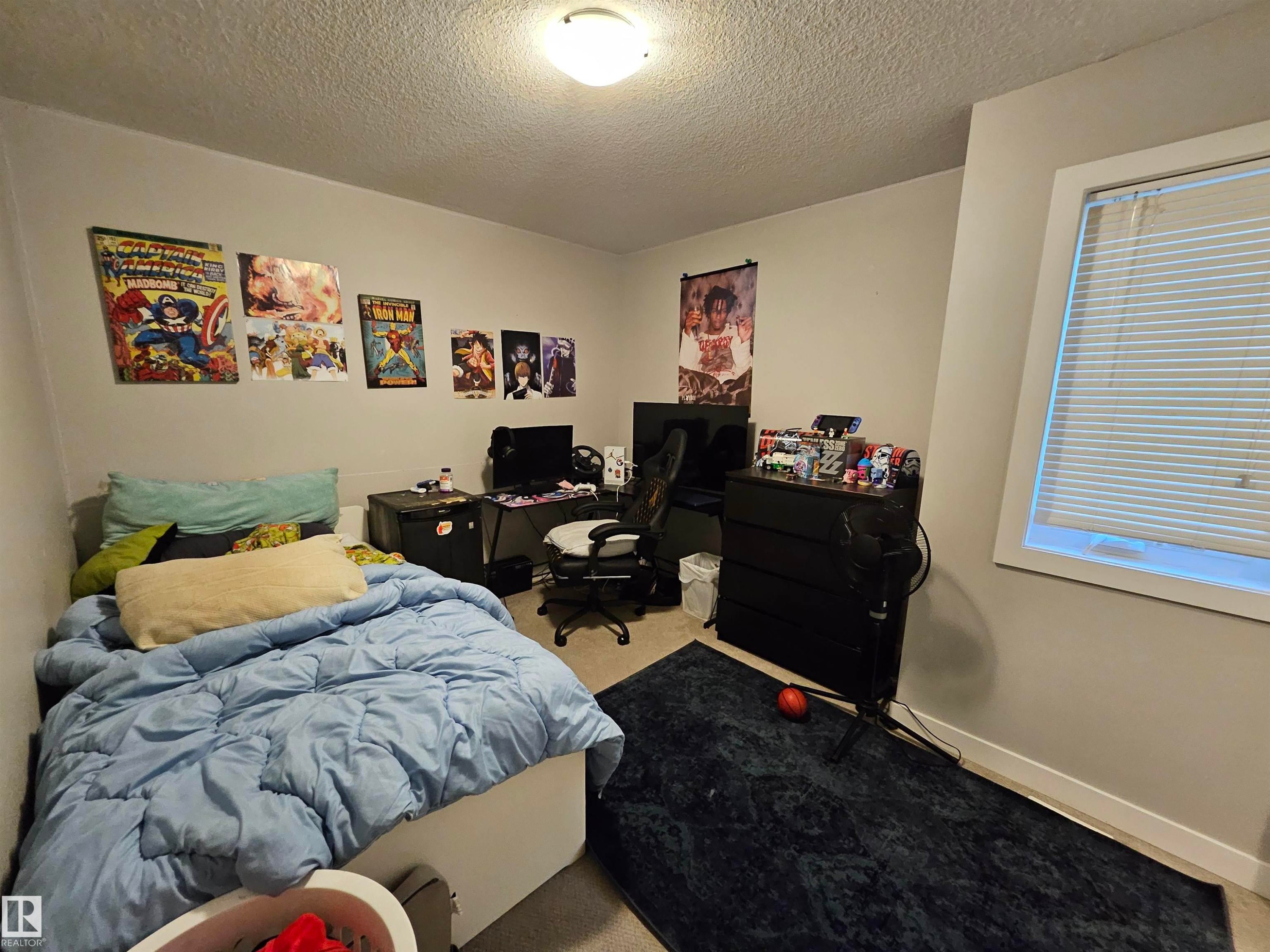 Carpeted room with light grey walls, a single window with white blinds, and a flush-mount ceiling light fixture - 13309 104 Street Nw, Edmonton, AB - Indoor Photo Showing Bedroom