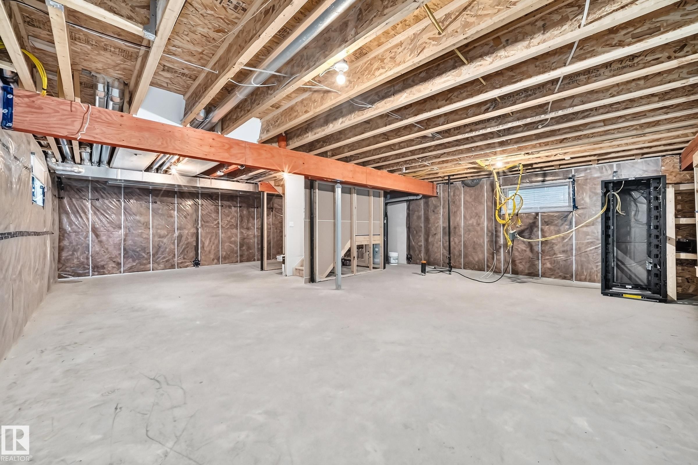 13032 208 Street Nw, Edmonton, AB - Indoor Photo Showing Basement