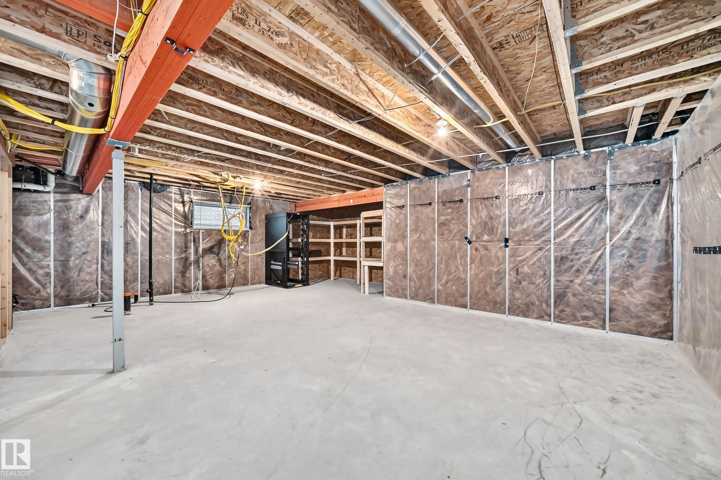 13032 208 Street Nw, Edmonton, AB - Indoor Photo Showing Basement