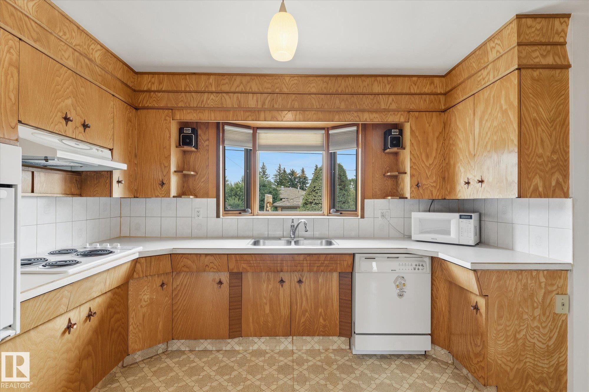 8727 73 Street Nw, Edmonton, AB - Indoor Photo Showing Kitchen With Double Sink