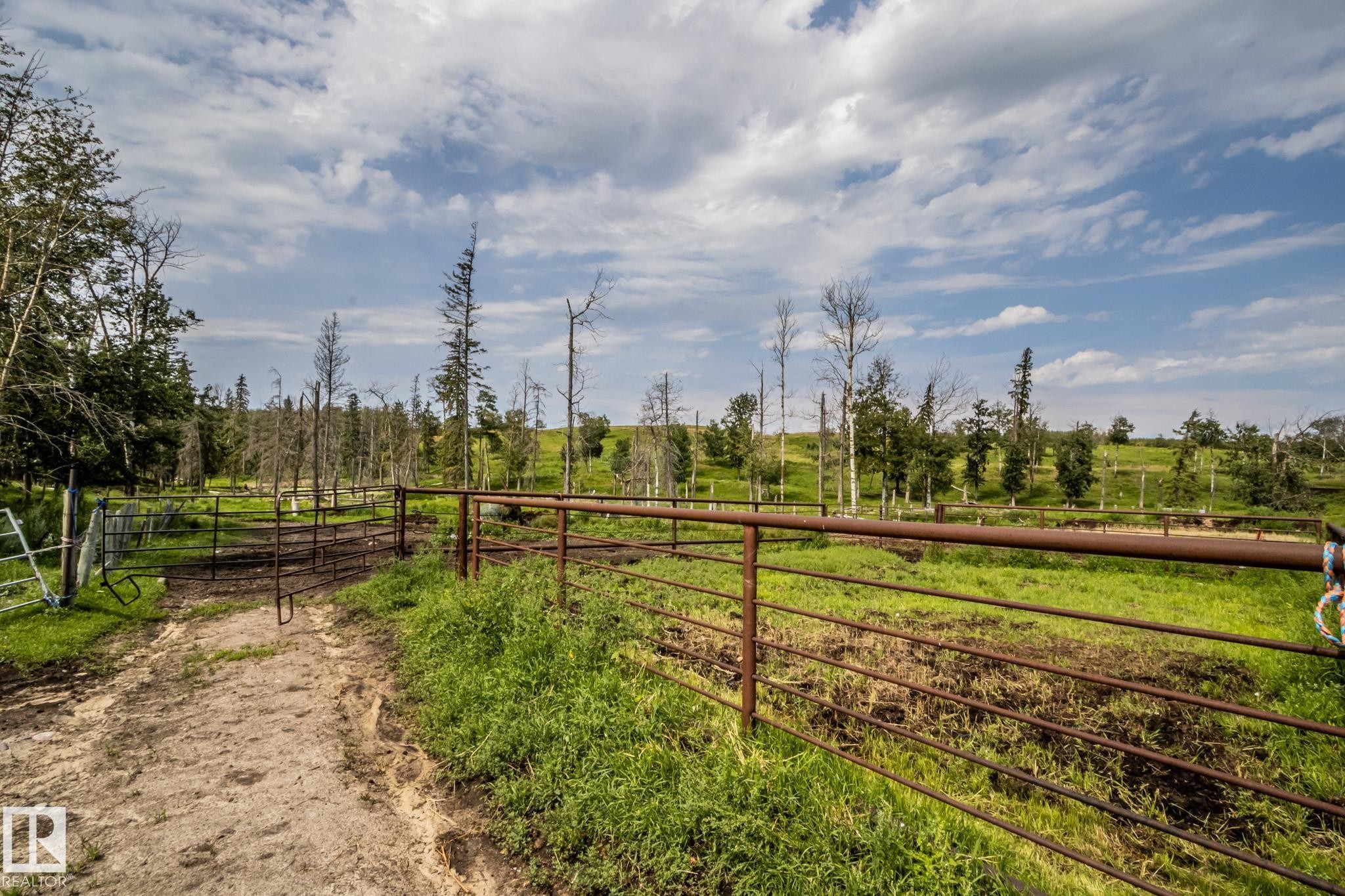 Expansive open pastureland featuring a rustic metal fence system, scattered mature trees, and a dirt access path - 11218 Twp Rd 590, Rural St. Paul County, AB - Outdoor With View