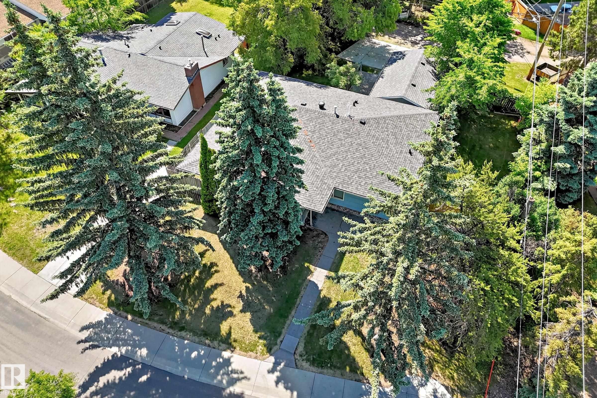Residential property with a shingled roof, mature evergreen trees, and a paved pathway leading to the entrance - 12011 87 Avenue Nw, Edmonton, AB - Outdoor With View