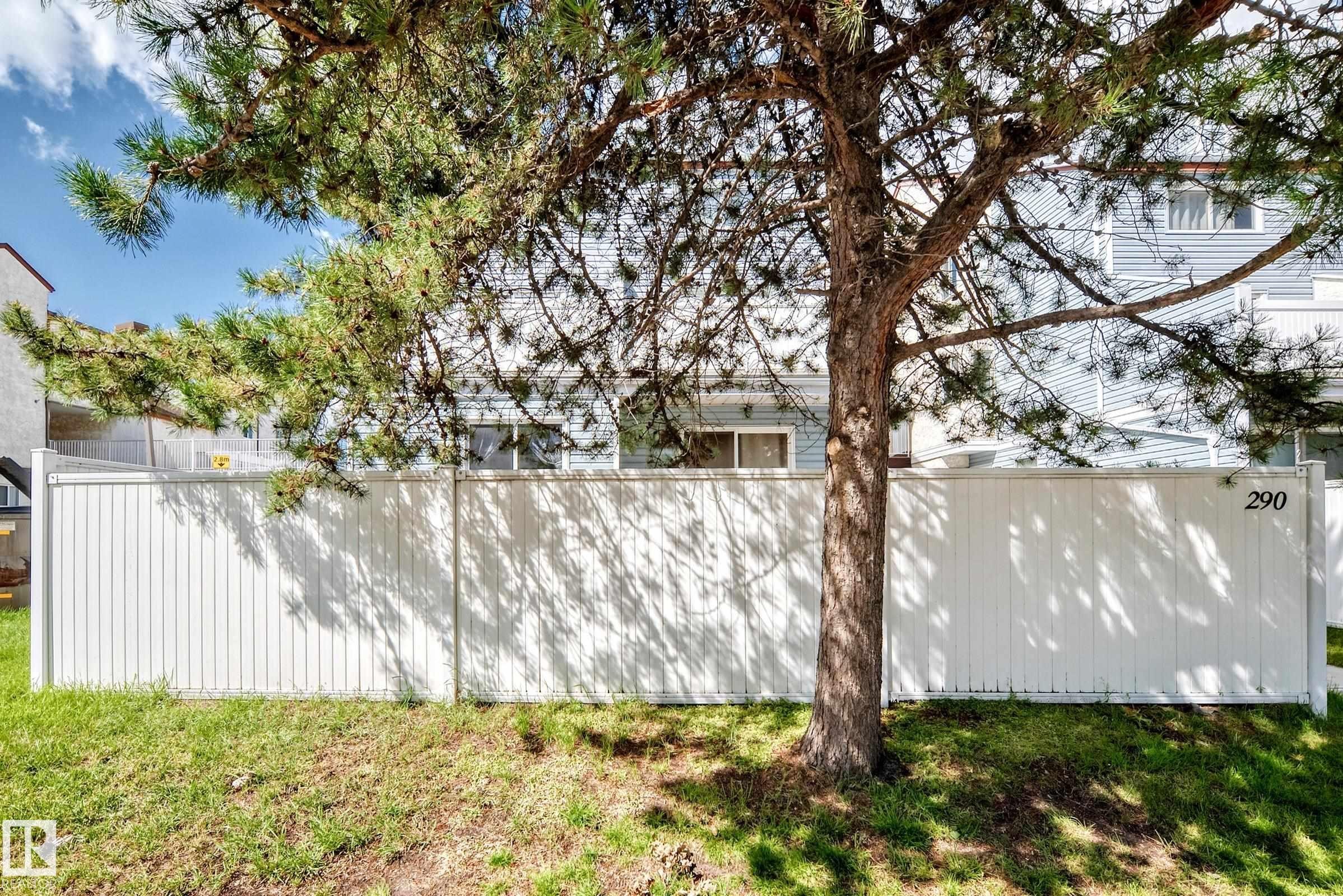 Mature shade tree anchors this private backyard retreat, offering natural screening and dappled sunlight - 290 Lancaster Terrace Nw, Edmonton, AB - Outdoor