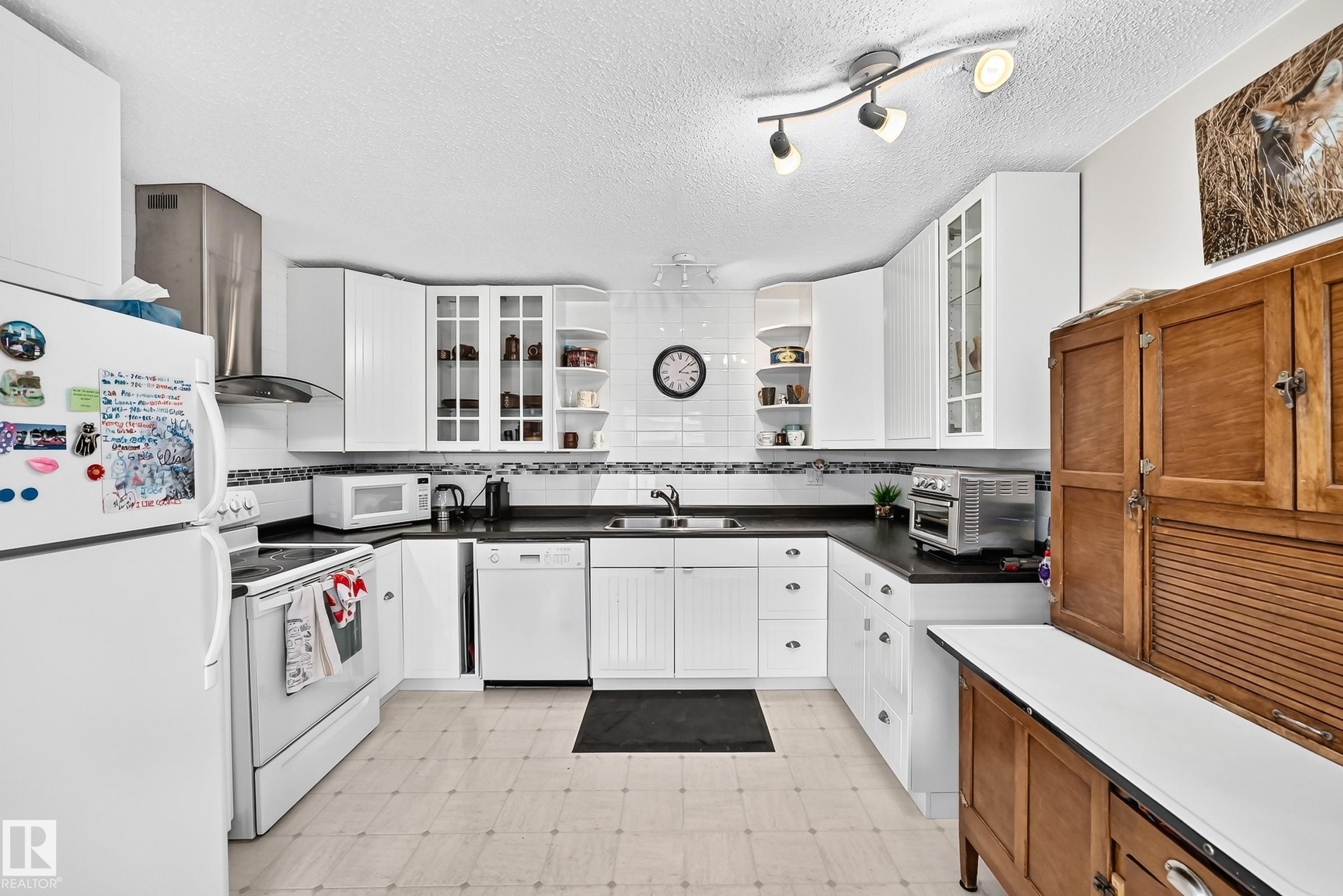 371 Kirkpatrick Crescent Nw, Edmonton, AB - Indoor Photo Showing Kitchen With Double Sink